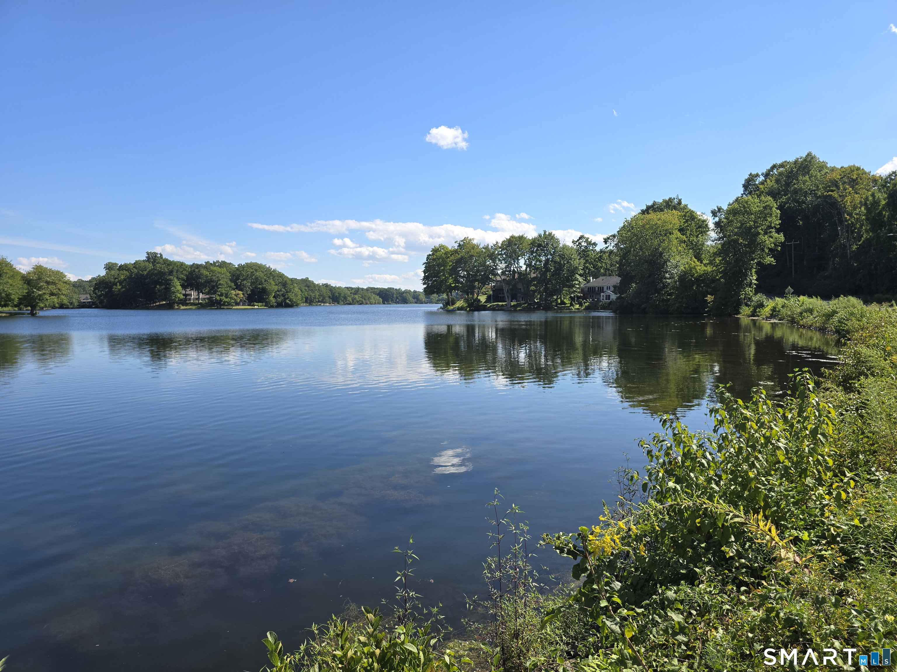 9066 Wood Pond Road Farmington, CT 06107 - Photo 4 of 4 Woodridge Lake