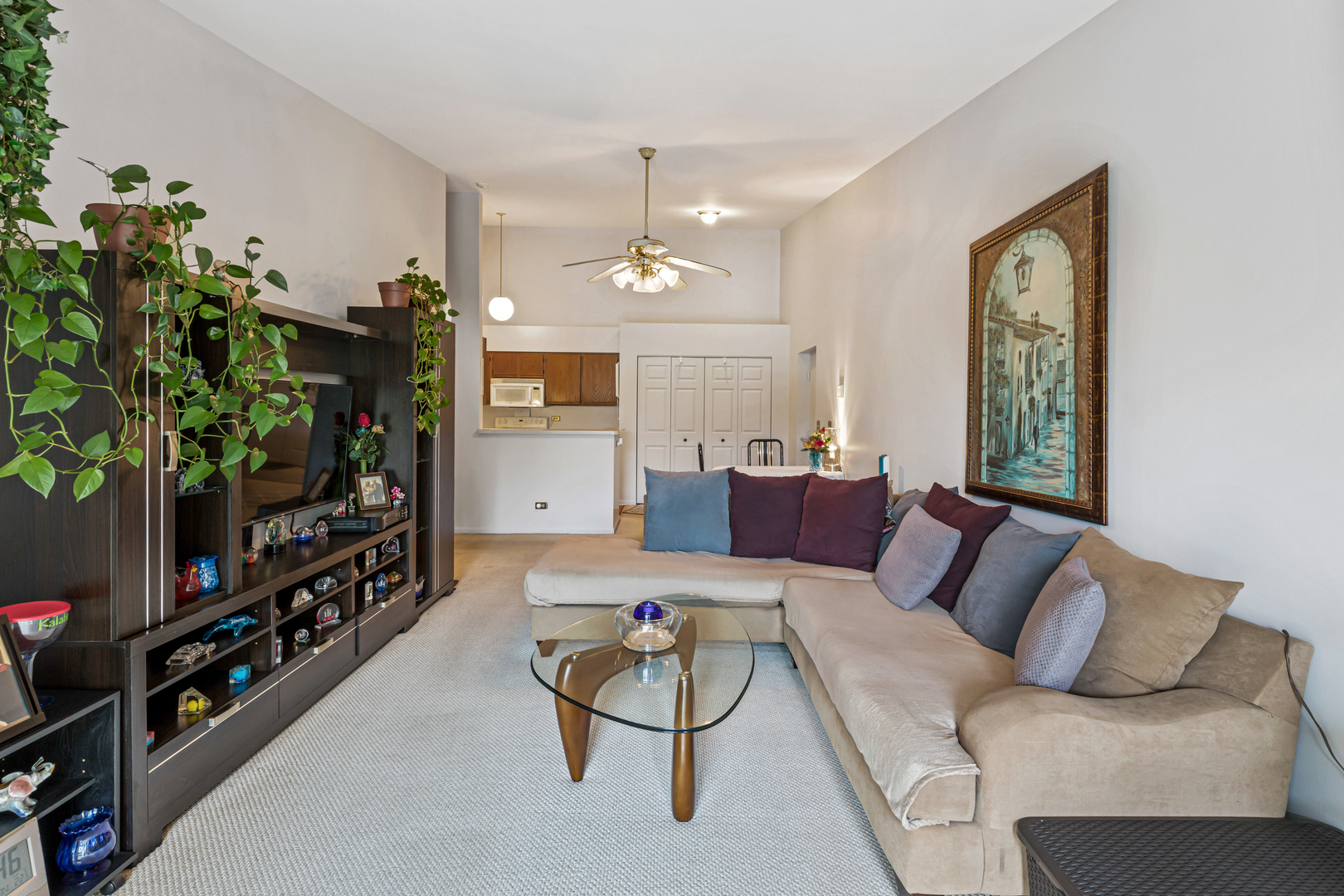764 North Gary Avenue, Unit 210 Carol Stream, IL 60188 - Photo 8 of 25