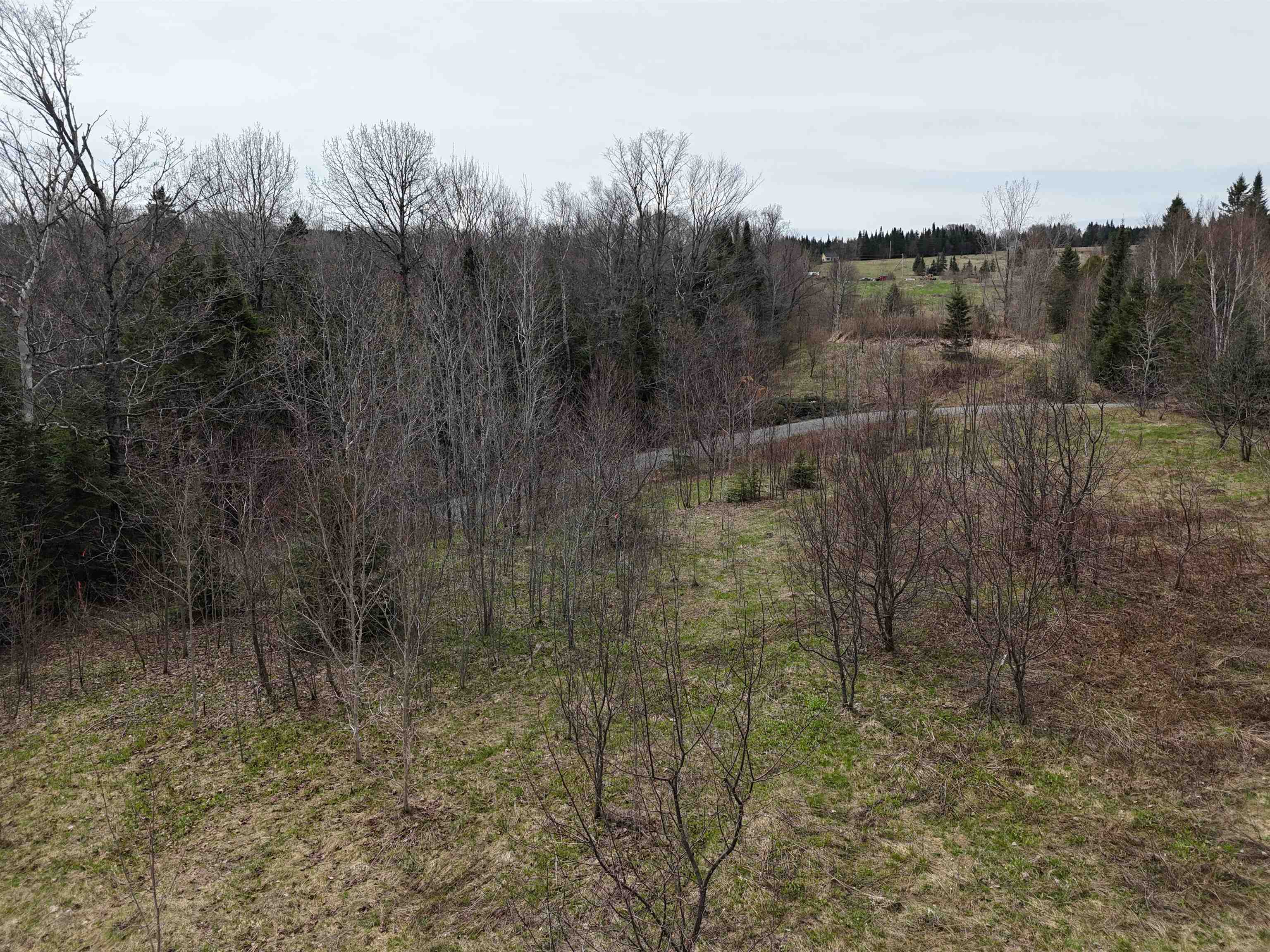 980 Coles Road Westmore, VT 05860 - Photo 11 of 12