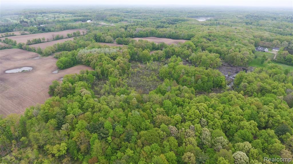0 Noble Road Oxford, MI 48371 - Photo 2 of 5