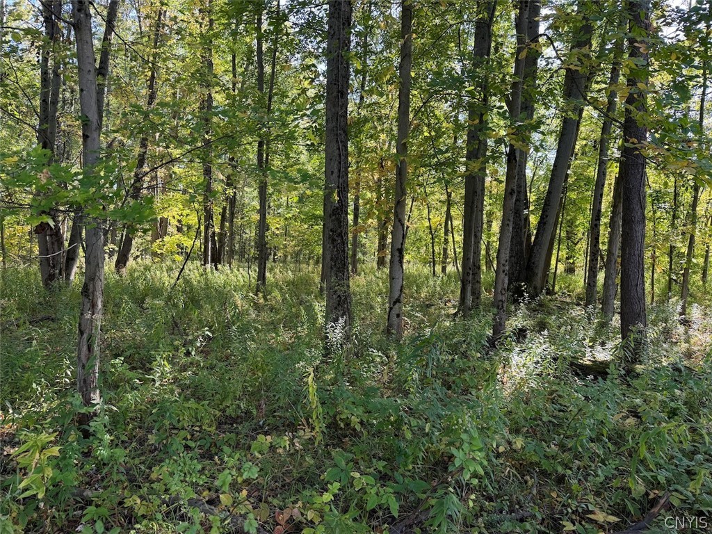 4758 Brown Road Conewango Valley, NY 14726 - Photo 47 of 50 Gallery Image 47