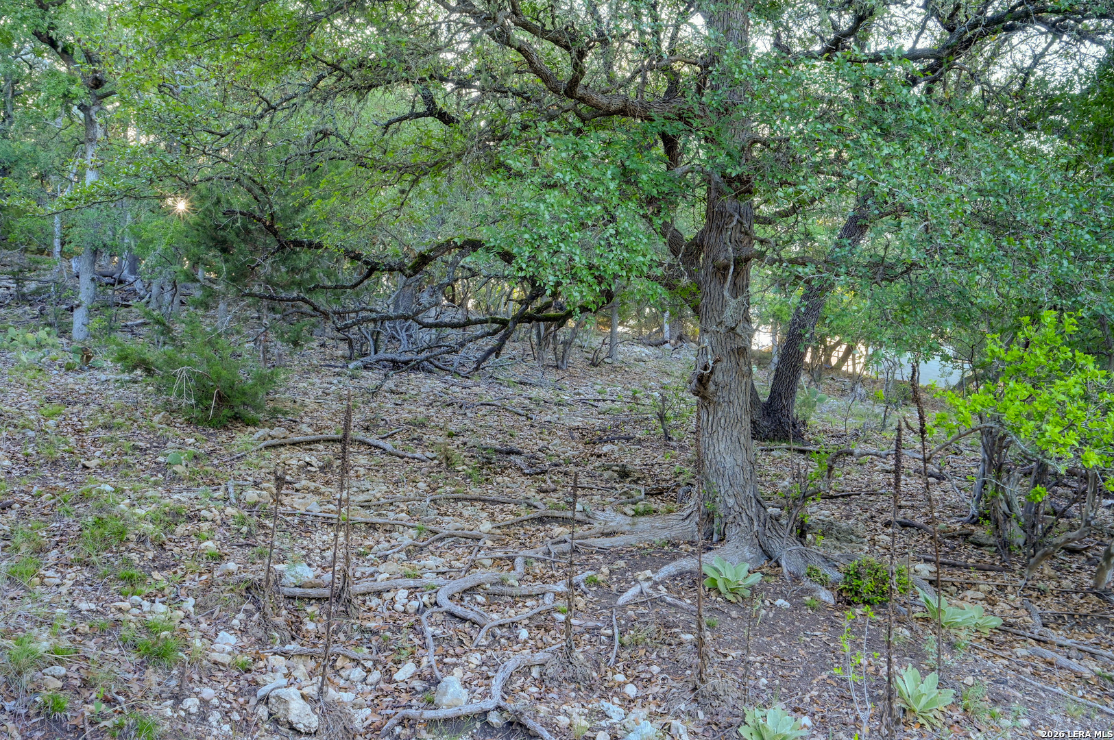 315 Rittimann Road Spring Branch, TX 78070 - Photo 44 of 51