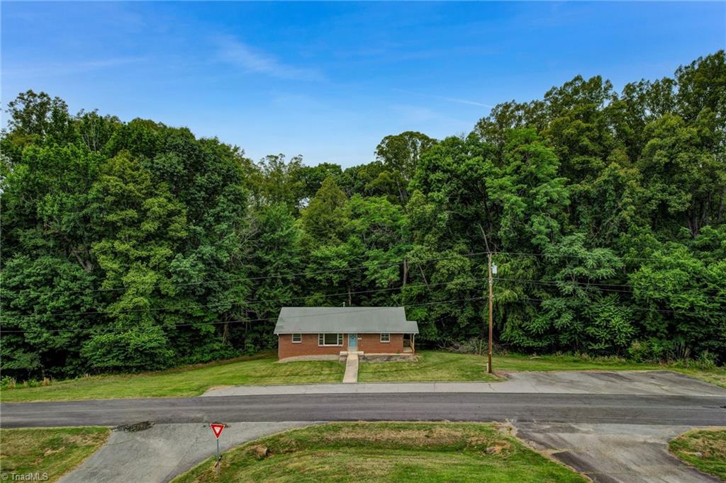 164 Tyre Dodson Road Reidsville, NC 27320 - Photo 3 of 39