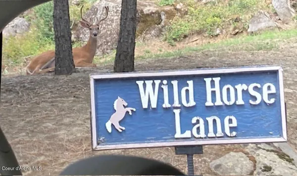 $159,000 | 7376 Wild Horse Lane, Bonners Ferry, ID 83805