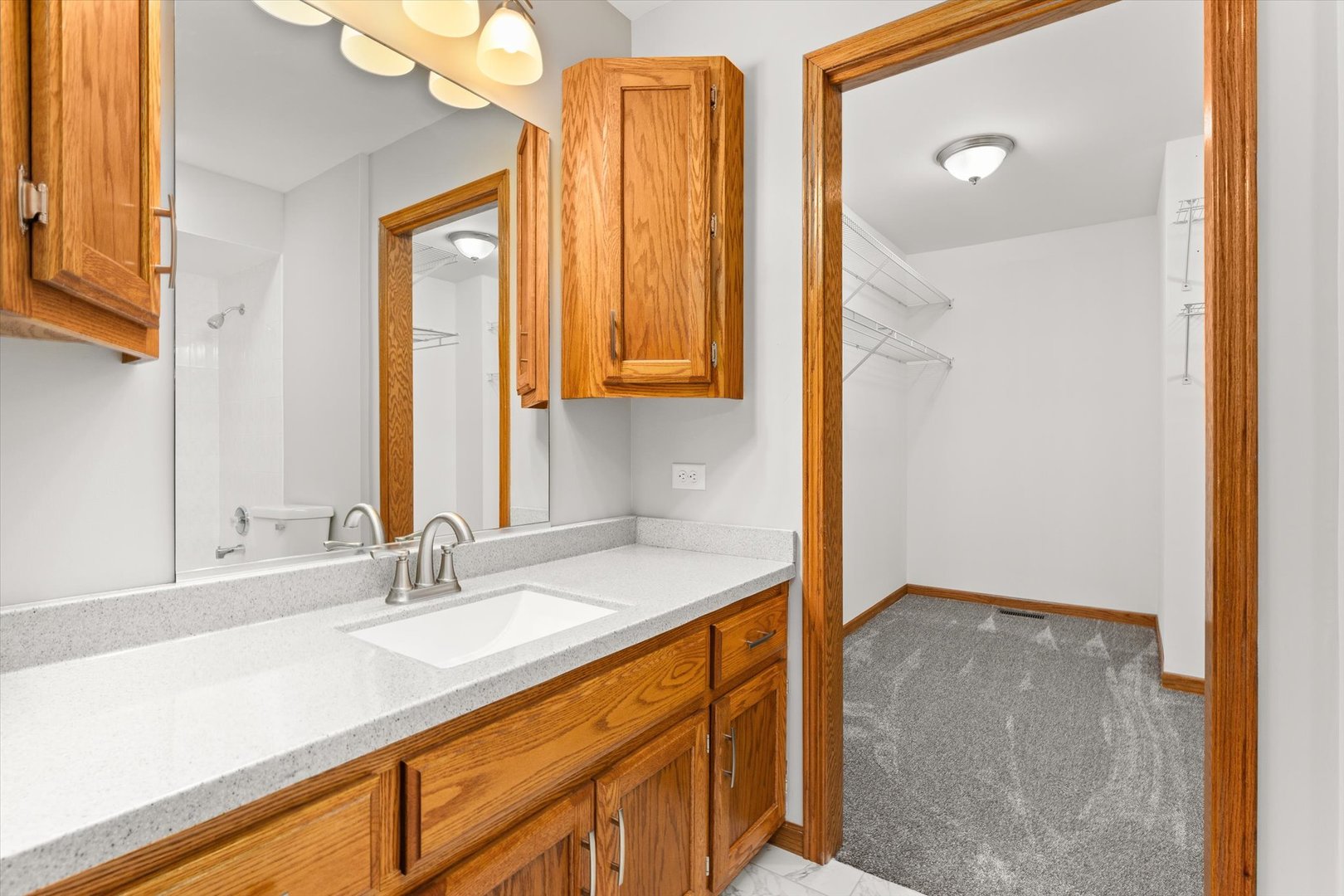 822 Eagle Creek Road Elwood, IL 60421 - Photo 25 of 41 a bathroom with a sink double vanity and a mirror