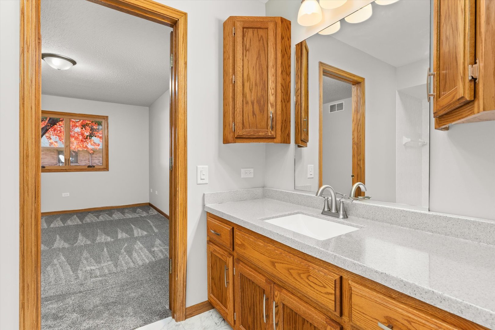 822 Eagle Creek Road Elwood, IL 60421 - Photo 28 of 41 a bathroom with a sink and a mirror