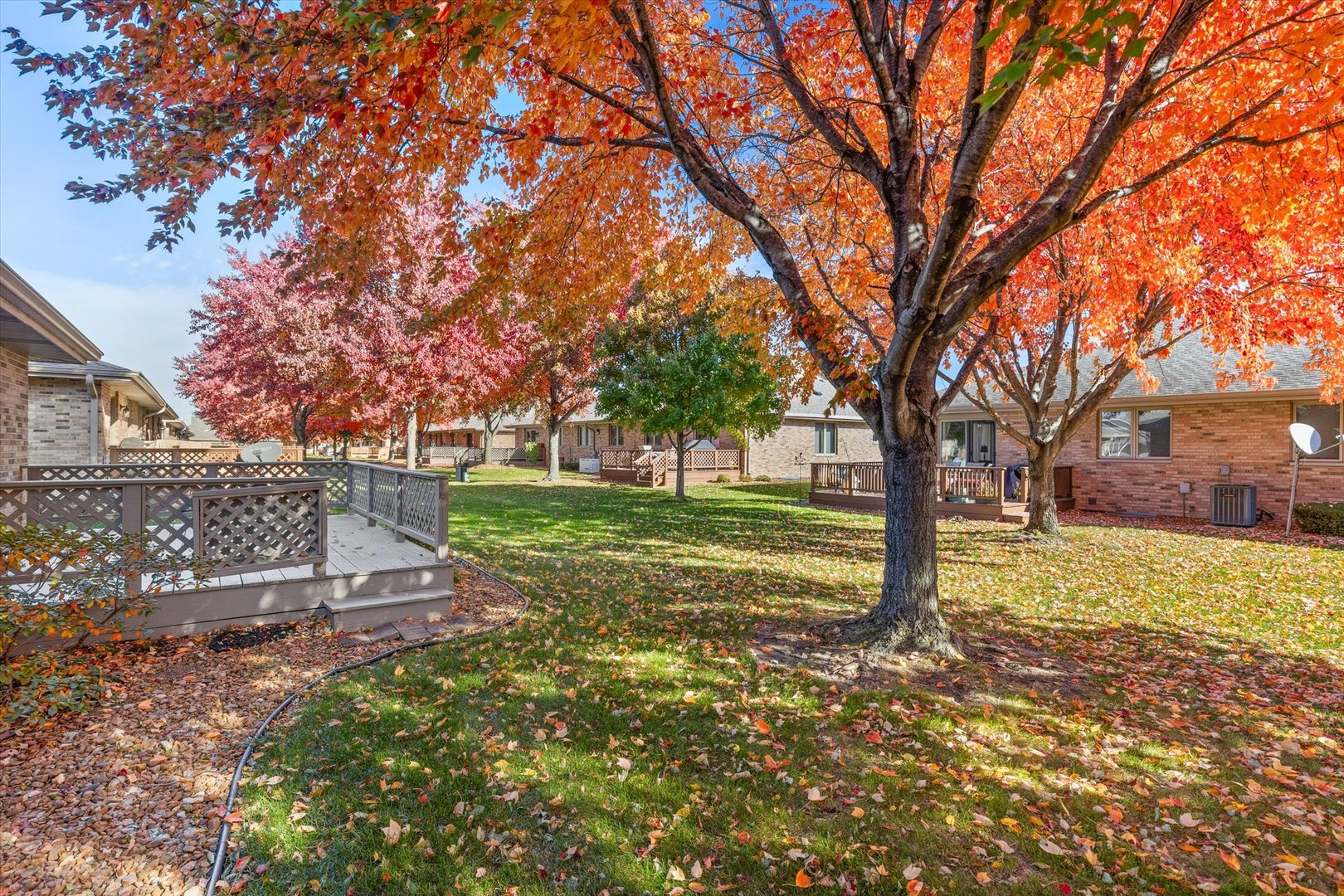 822 Eagle Creek Road Elwood, IL 60421 - Photo 36 of 41 a view of a yard with a tree