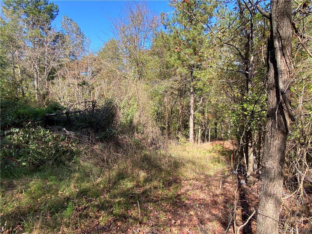 2425 Shiloh Church Road, Unit 3 Davidson, NC 28036 - Photo 8 of 28 Gallery Image 8