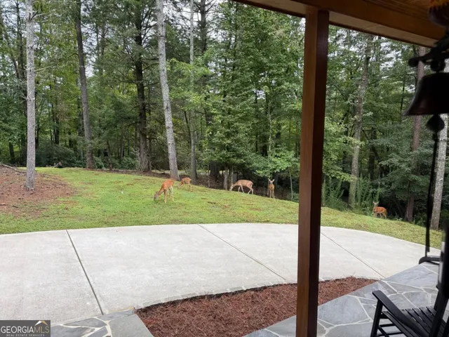 a view of a garden with a fountain