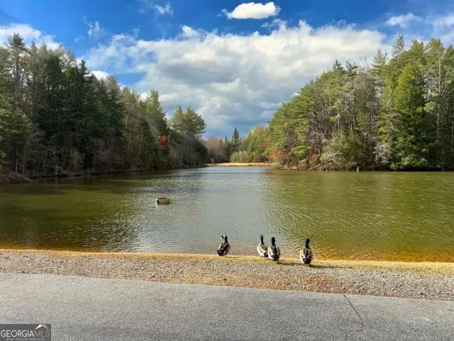 a view of a lake with a mountain in the background