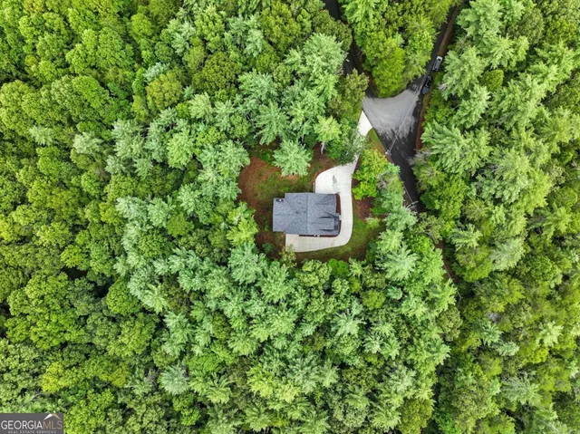 a view of a lush green forest with a house