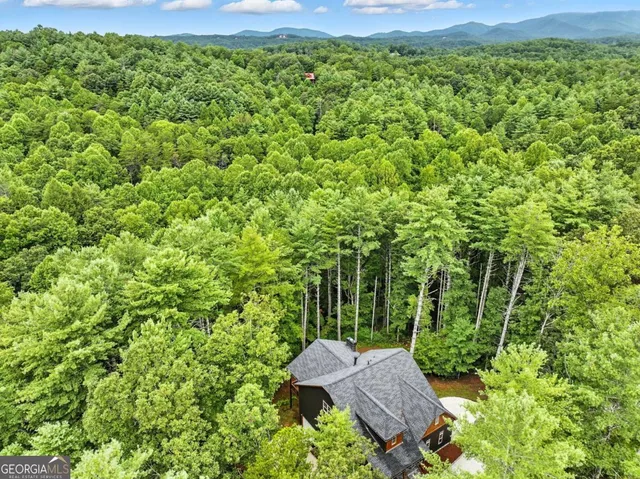 a view of a backyard with table and chairs and potted plants