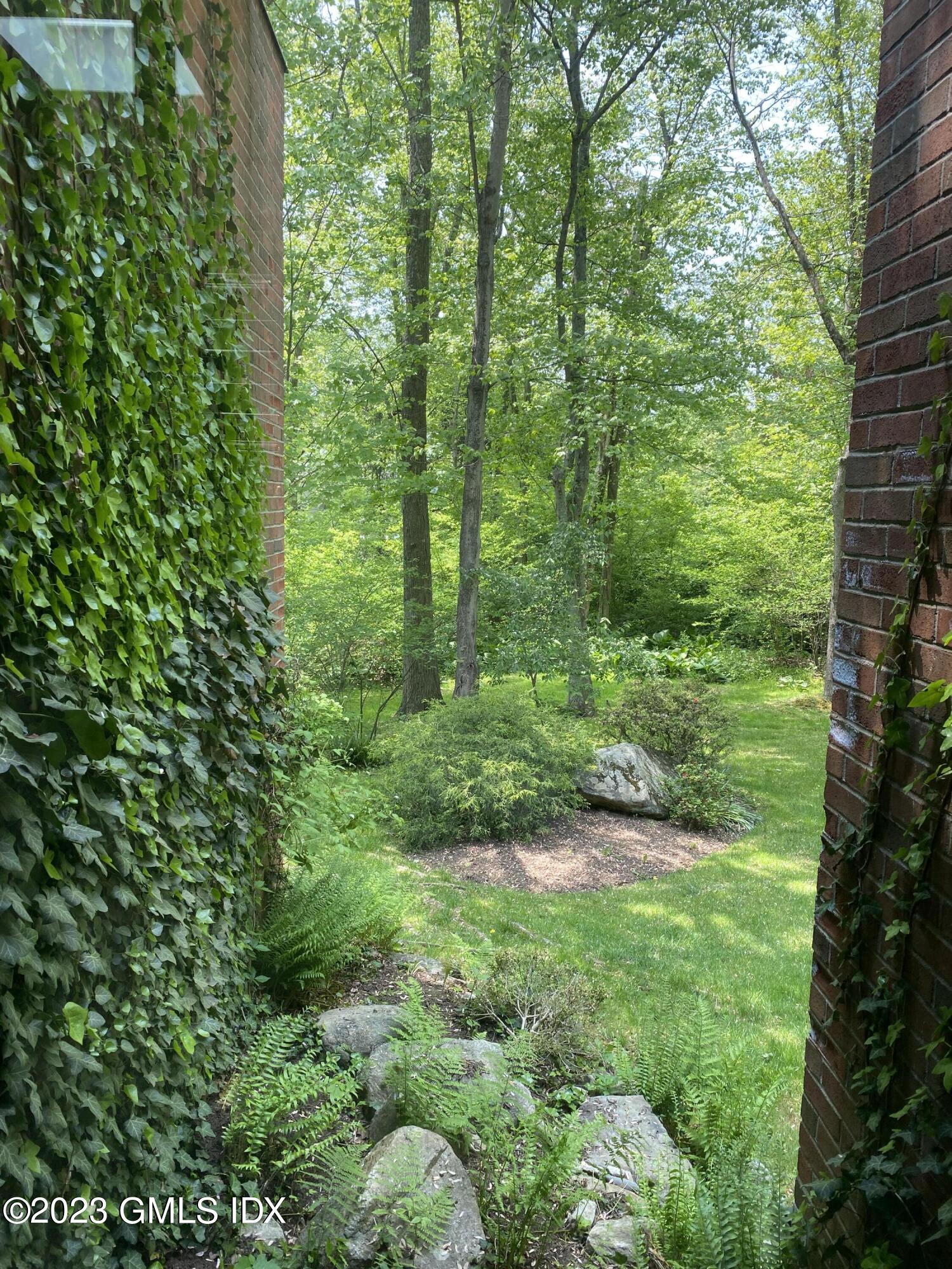 140 Round Hill Road Greenwich, CT 06831 - Photo 9 of 49 a view of a lush green forest