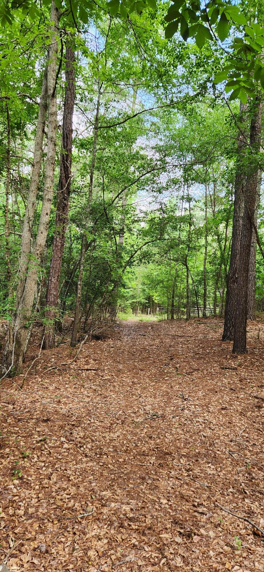 0 Boot Hill Road Grovetown, GA 30813 - Photo 11 of 24 20230616_102732
