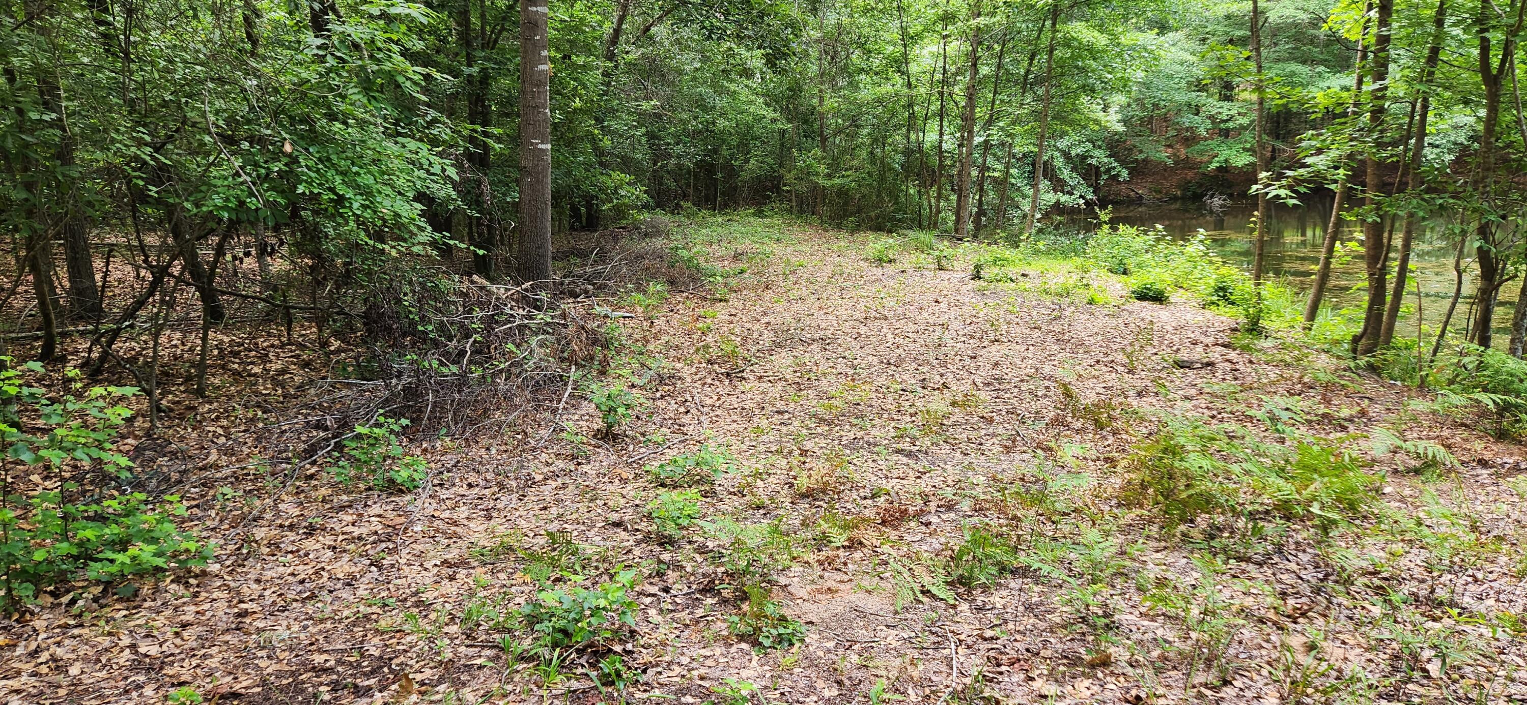 0 Boot Hill Road Grovetown, GA 30813 - Photo 17 of 24 20230616_102541
