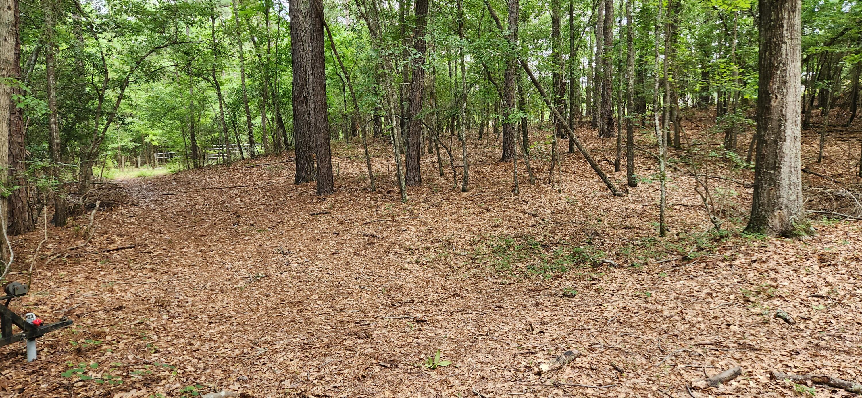 0 Boot Hill Road Grovetown, GA 30813 - Photo 19 of 24 20230616_102634