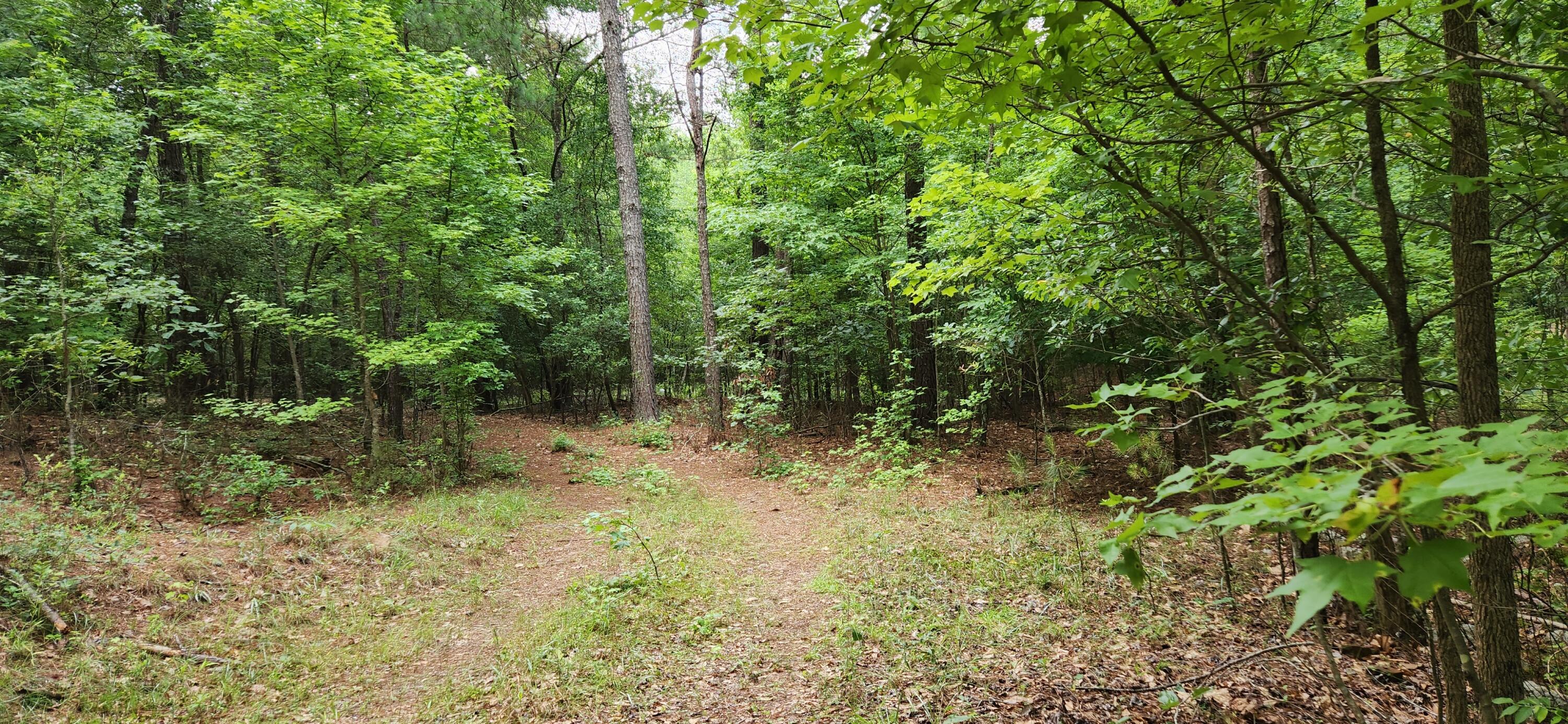 0 Boot Hill Road Grovetown, GA 30813 - Photo 21 of 24 20230616_100833