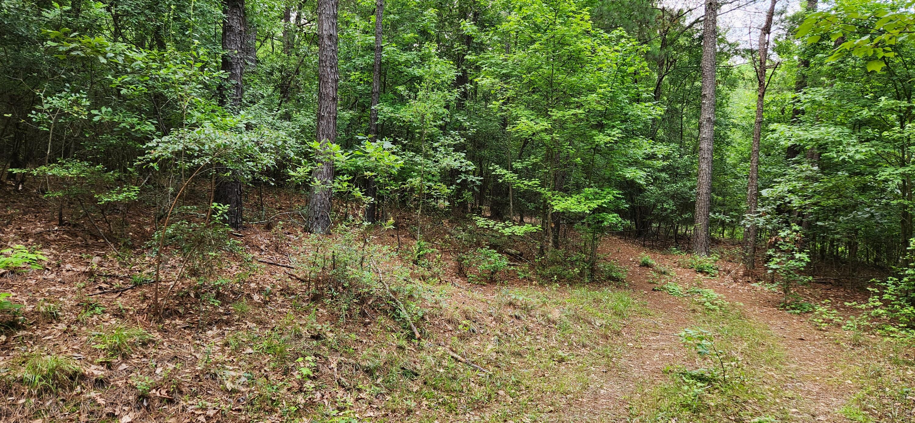 0 Boot Hill Road Grovetown, GA 30813 - Photo 22 of 24 20230616_100846