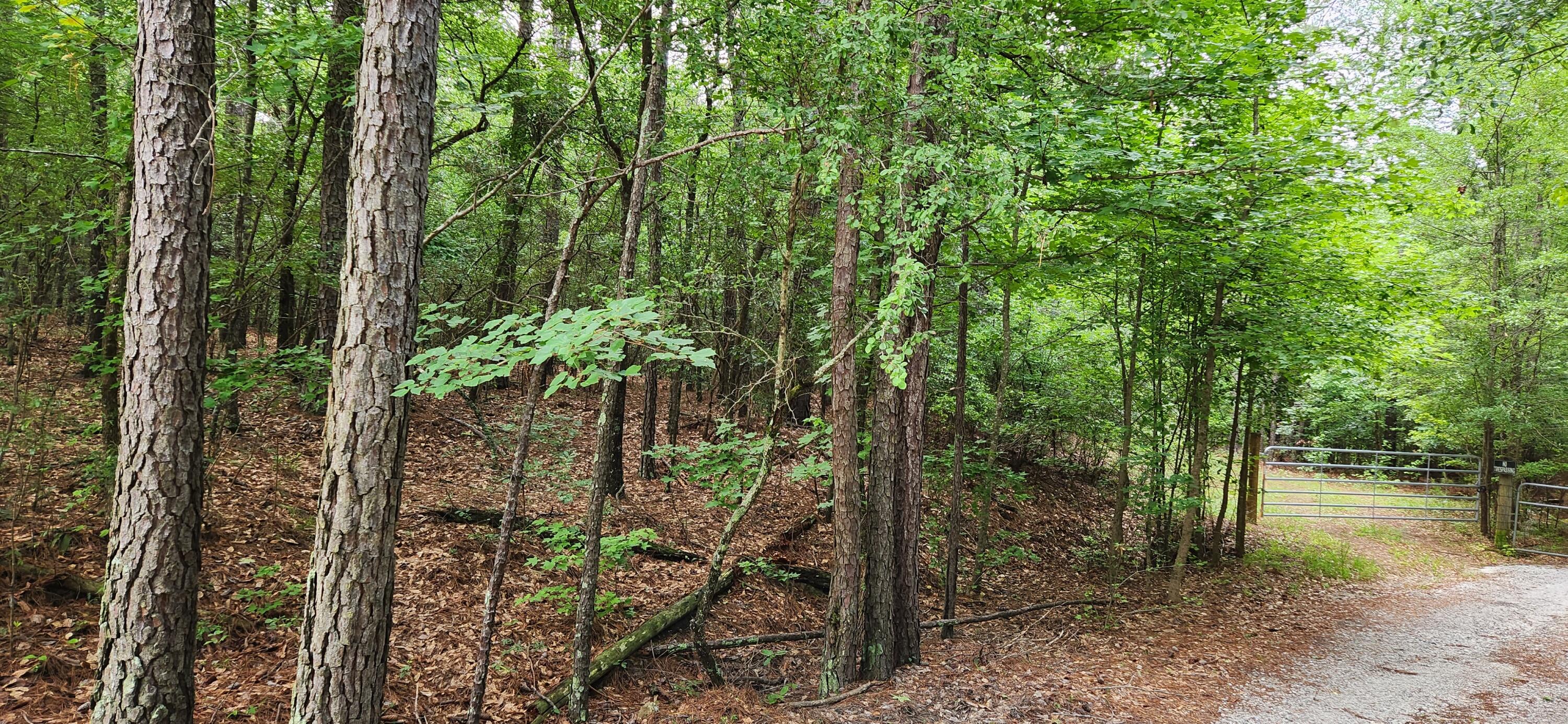 0 Boot Hill Road Grovetown, GA 30813 - Photo 23 of 24 20230616_100714