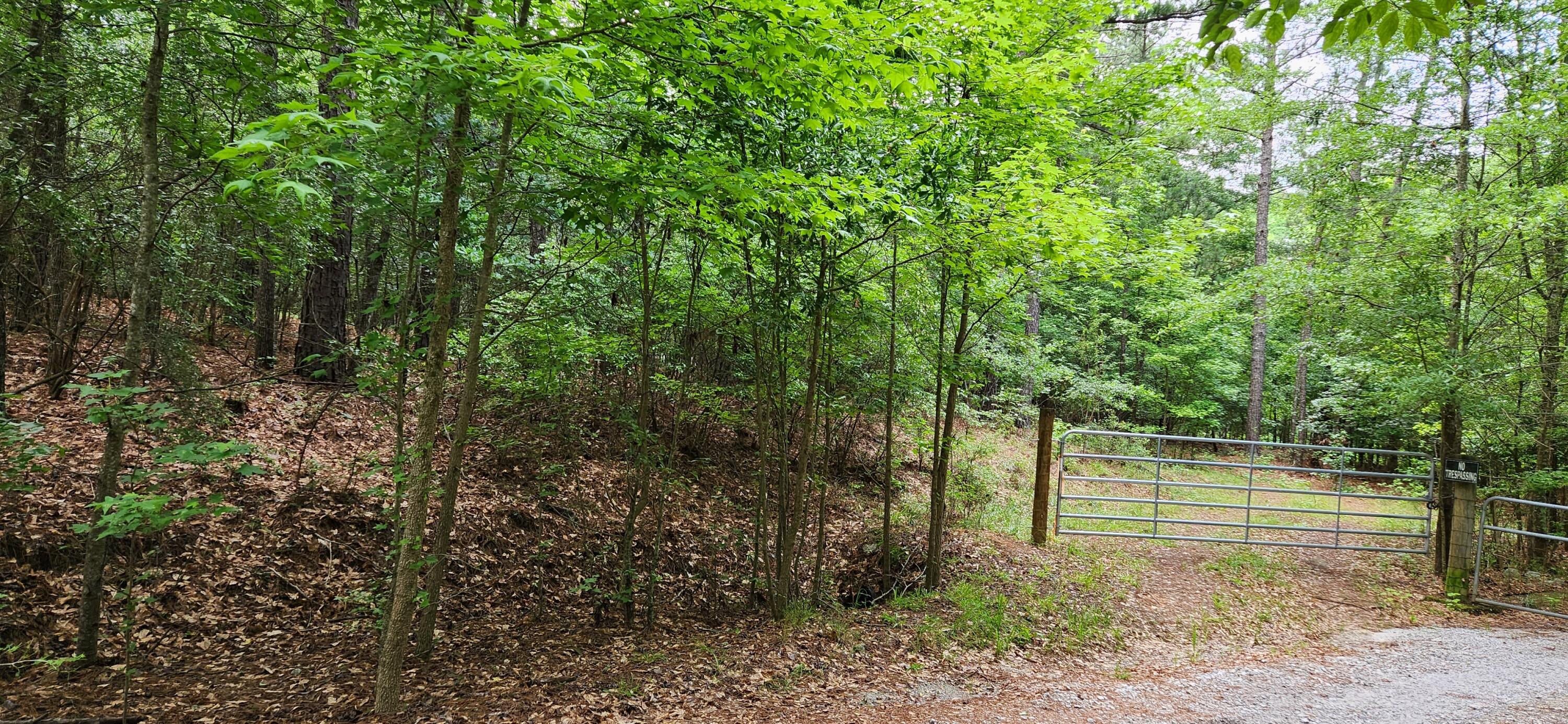 0 Boot Hill Road Grovetown, GA 30813 - Photo 3 of 24 20230616_100646
