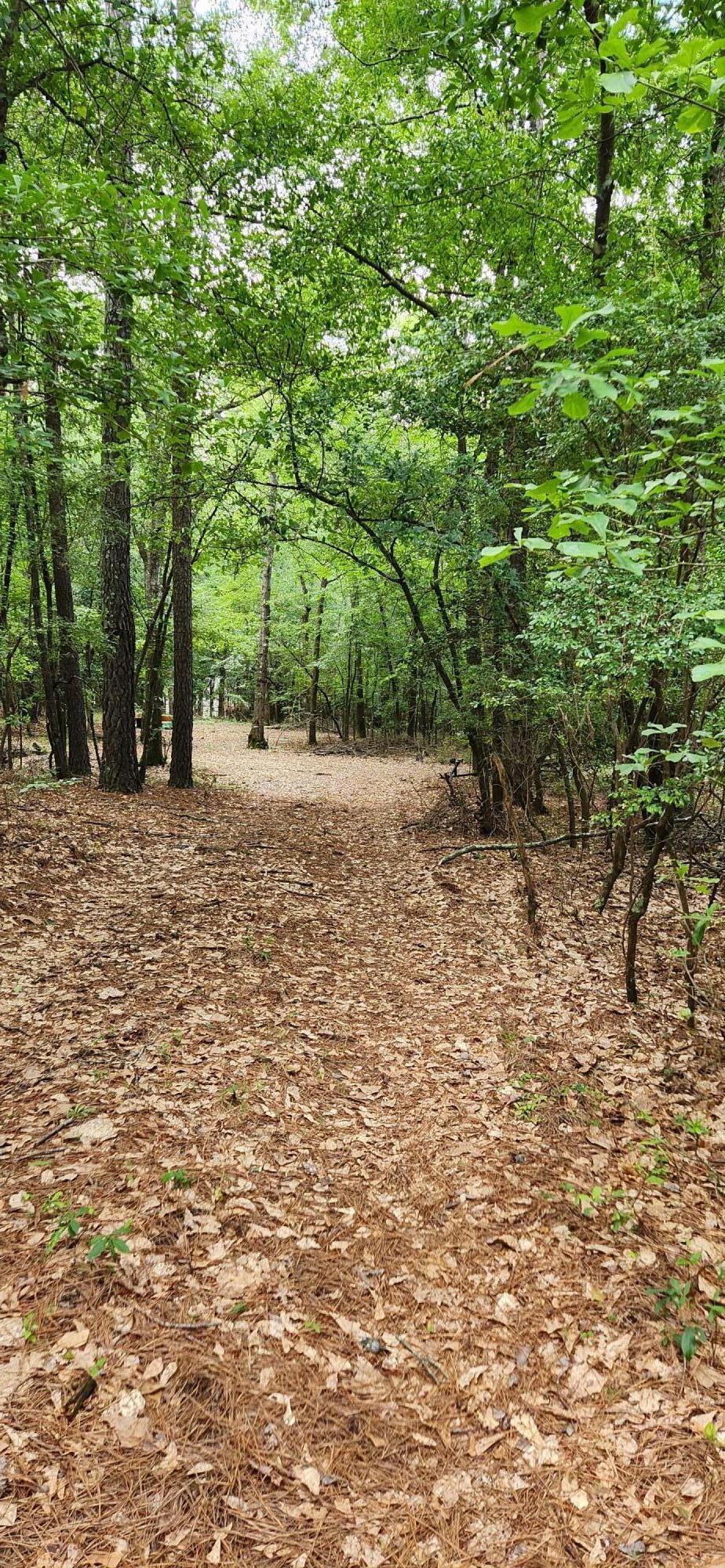 0 Boot Hill Road Grovetown, GA 30813 - Photo 4 of 24 20230616_100949