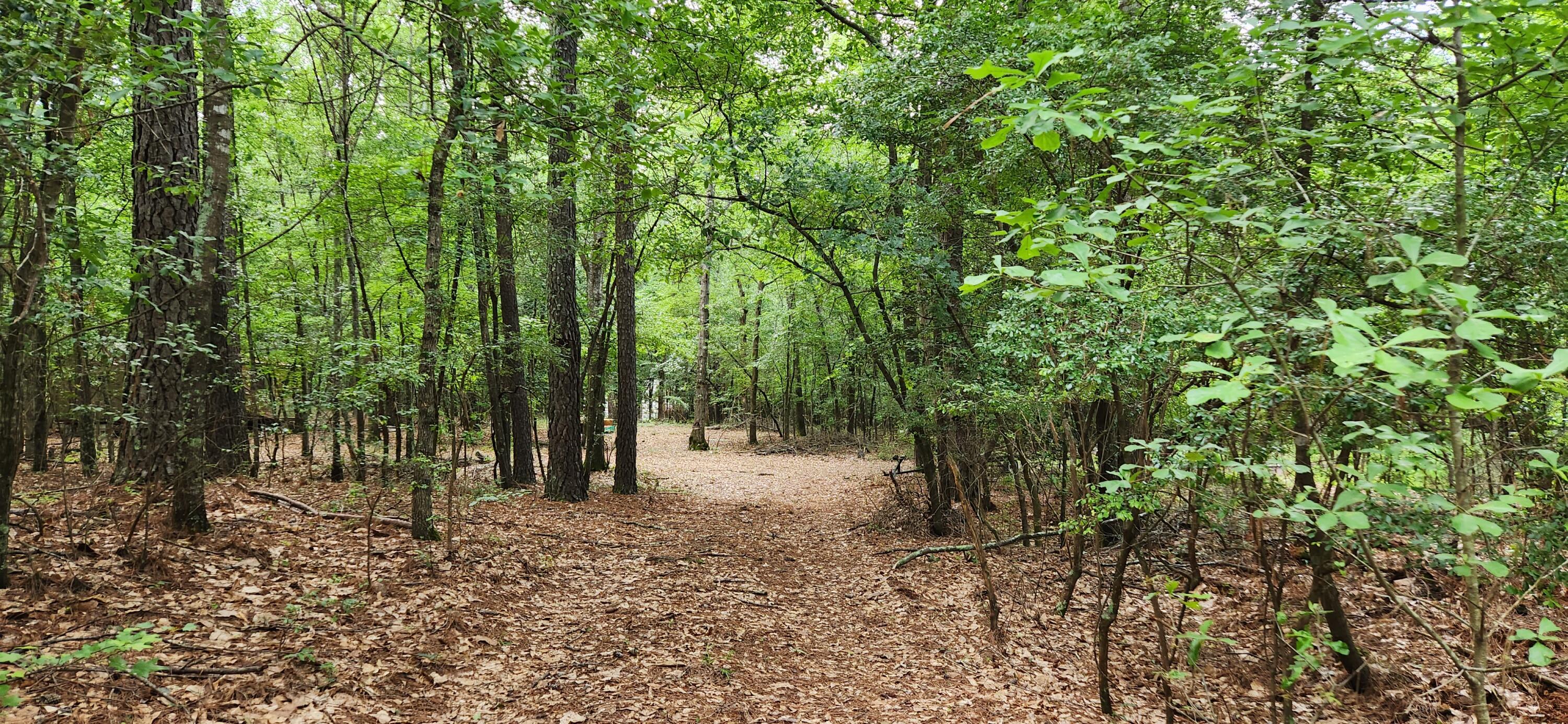 0 Boot Hill Road Grovetown, GA 30813 - Photo 5 of 24 20230616_100945