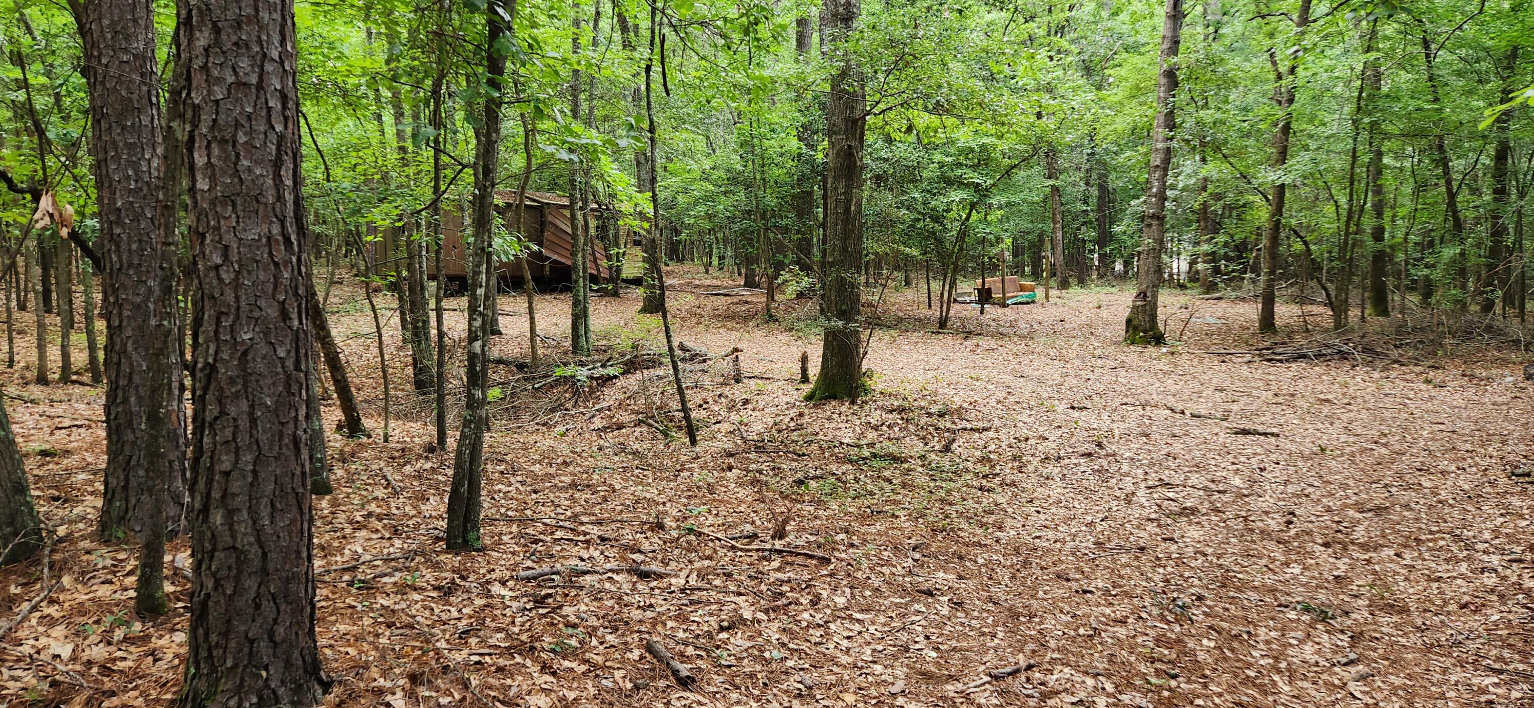 0 Boot Hill Road Grovetown, GA 30813 - Photo 6 of 24 20230616_101043