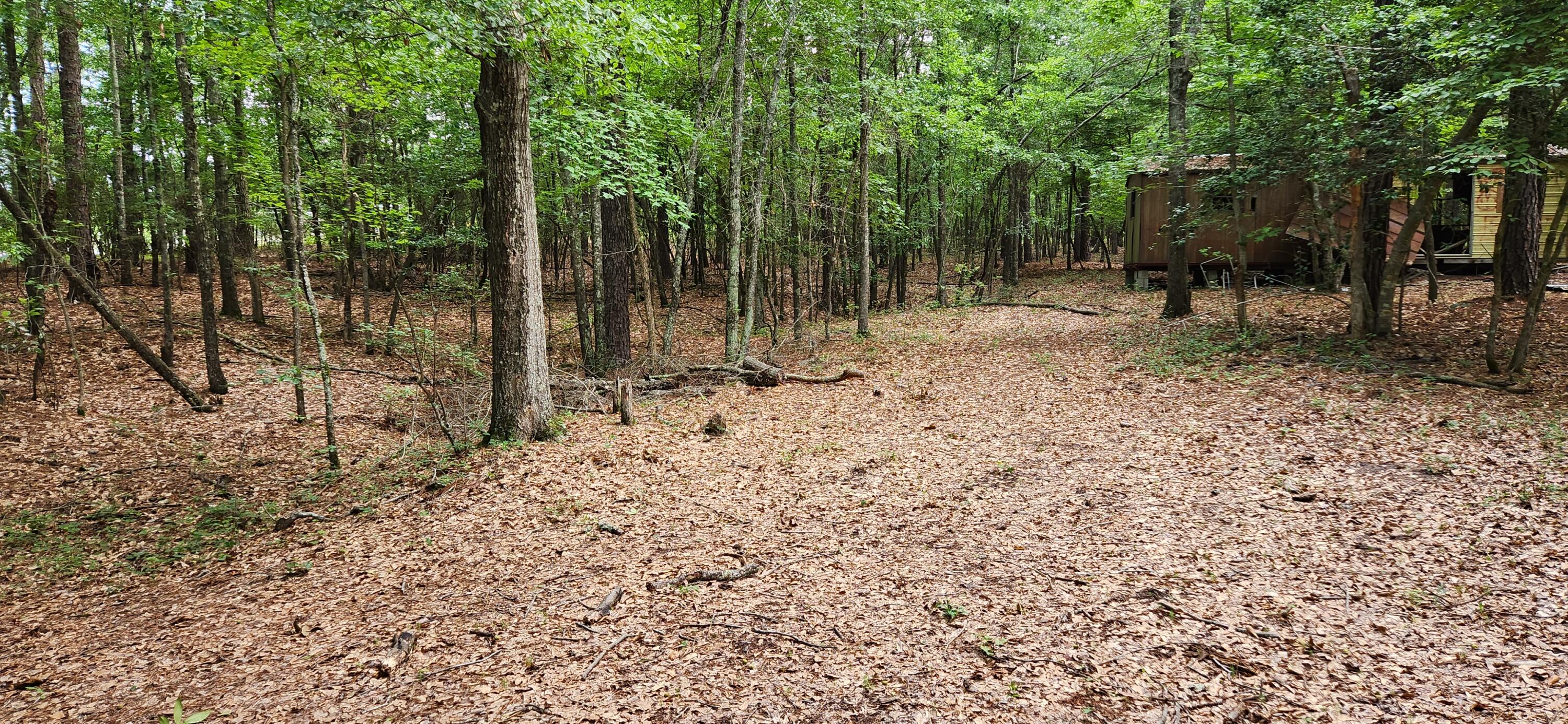 0 Boot Hill Road Grovetown, GA 30813 - Photo 7 of 24 20230616_102617