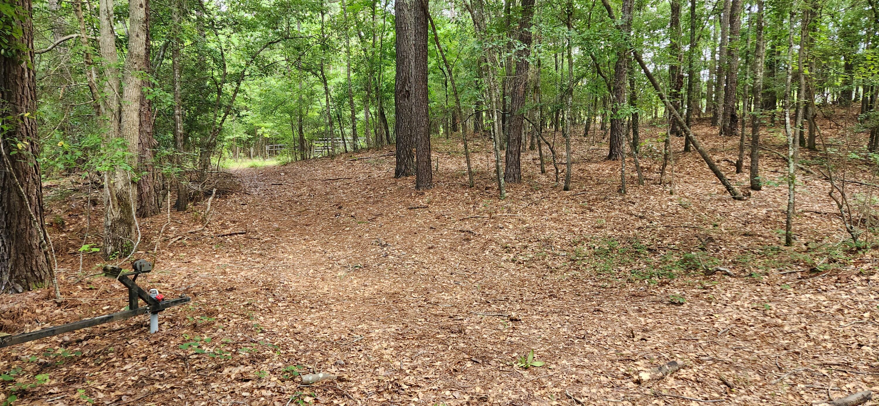 0 Boot Hill Road Grovetown, GA 30813 - Photo 9 of 24 20230616_102639
