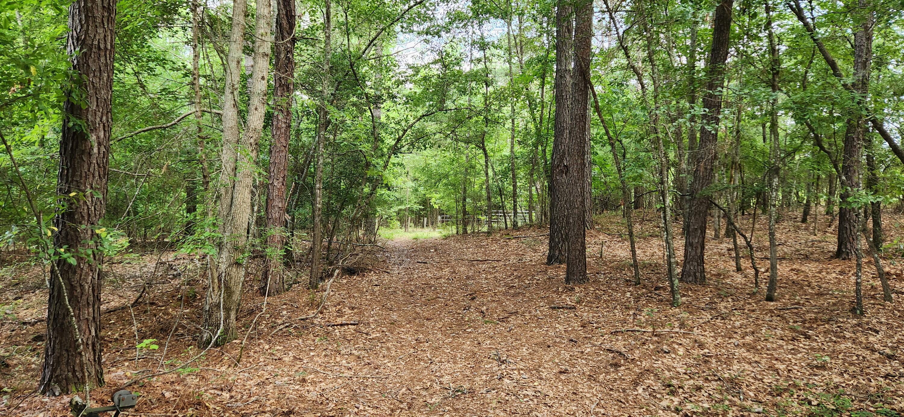 0 Boot Hill Road Grovetown, GA 30813 - Photo 10 of 24 20230616_102722