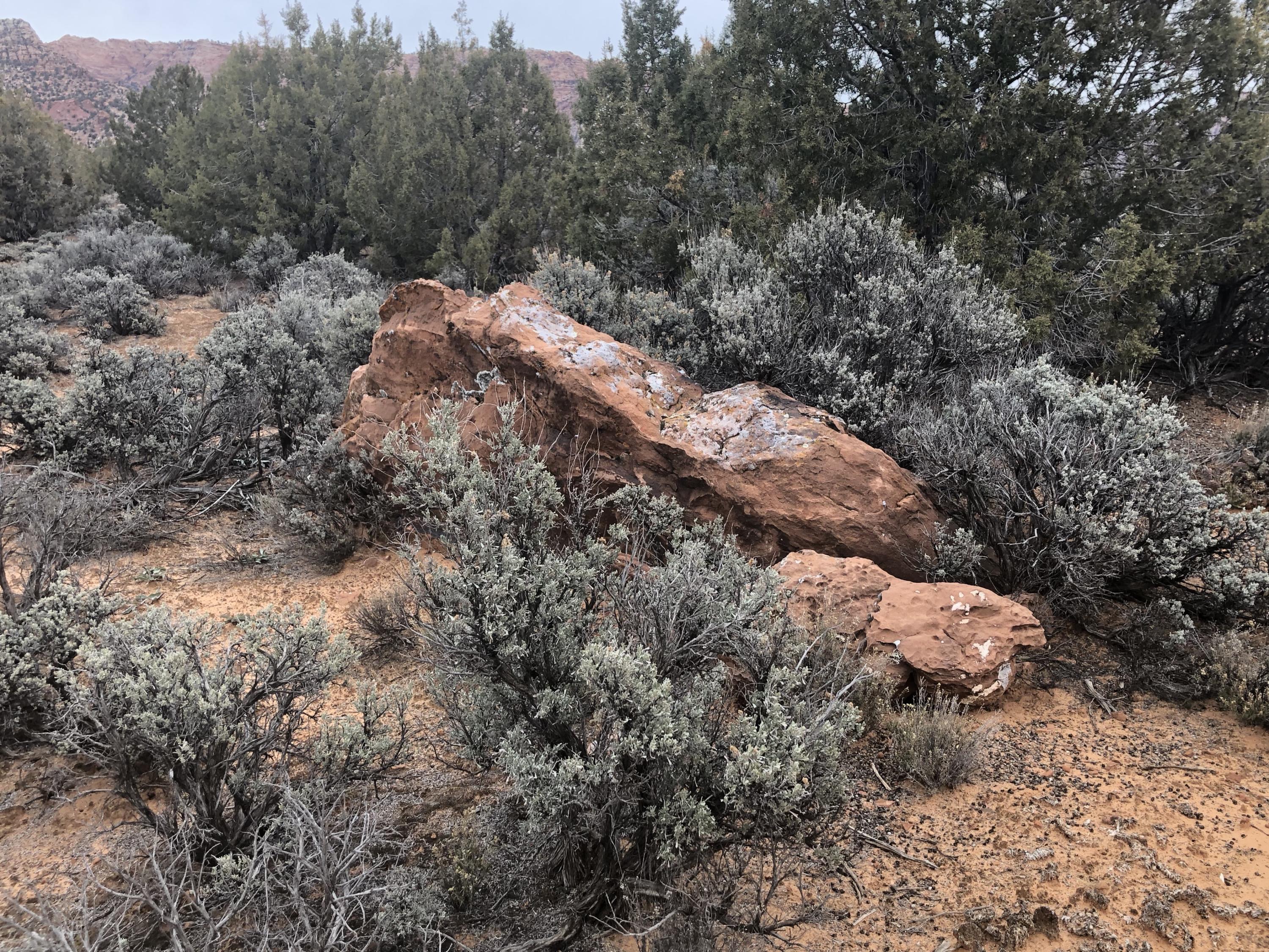 1752 East Red Hawk Road Hurricane, UT 84737 - Photo 1 of 1 xGMxMKuLTtufVTBj5HKxXA