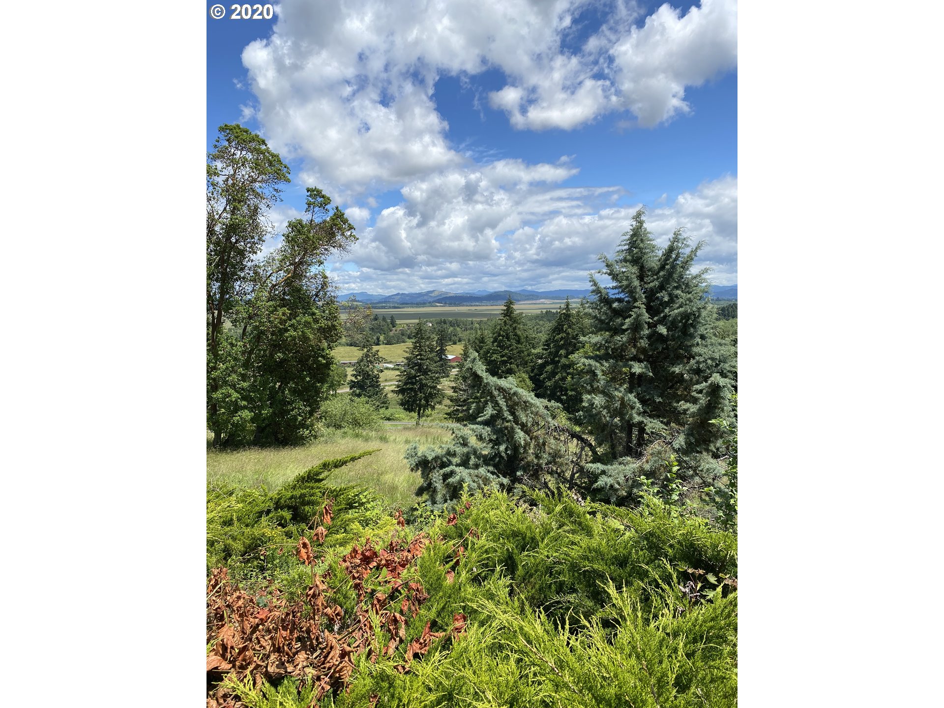 83216 Mickelson Road Creswell, OR 97426 - Photo 4 of 31 Gallery Image 4