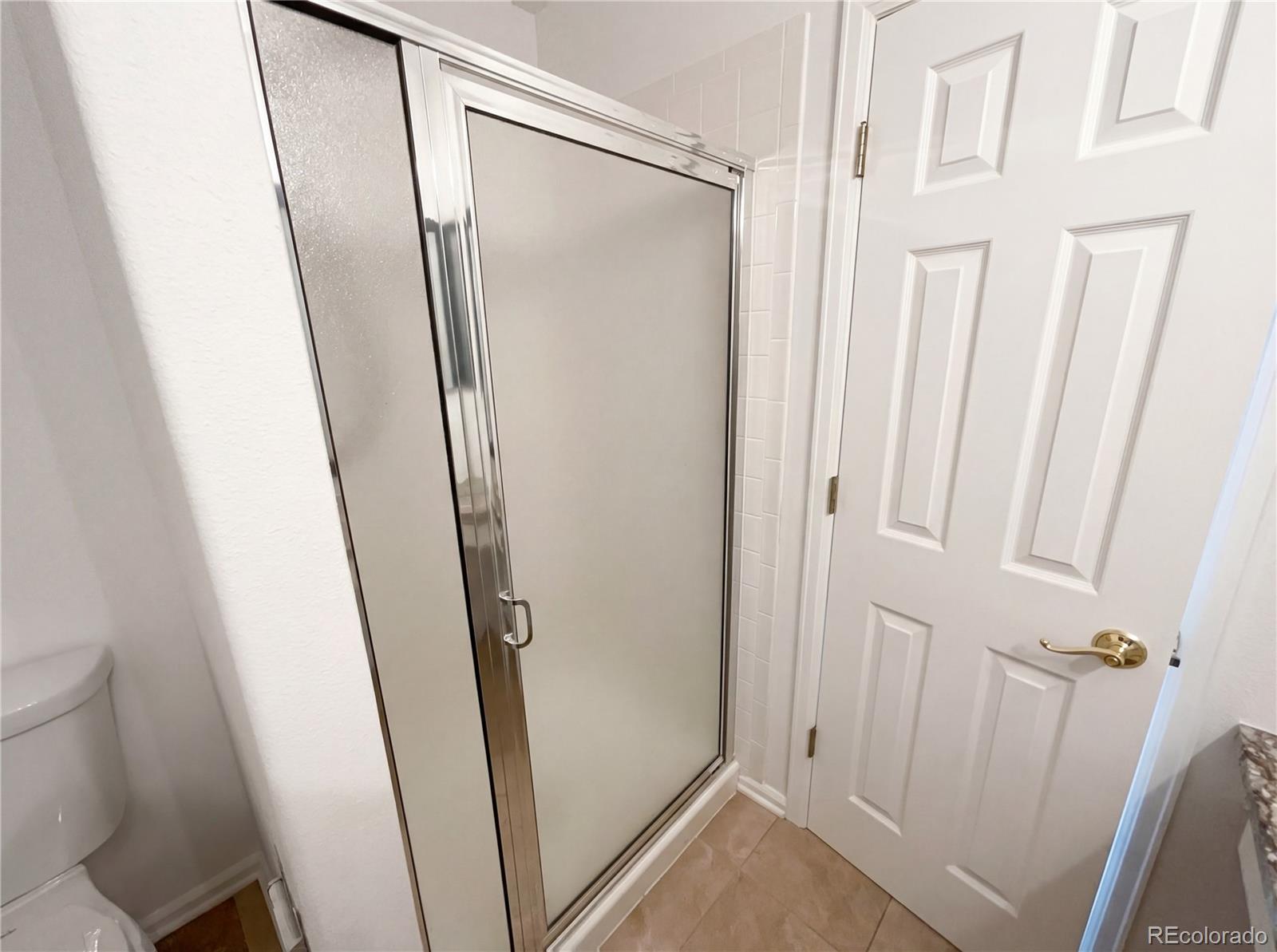 2154 Gold Dust Lane Highlands Ranch, CO 80129 - Photo 16 of 19