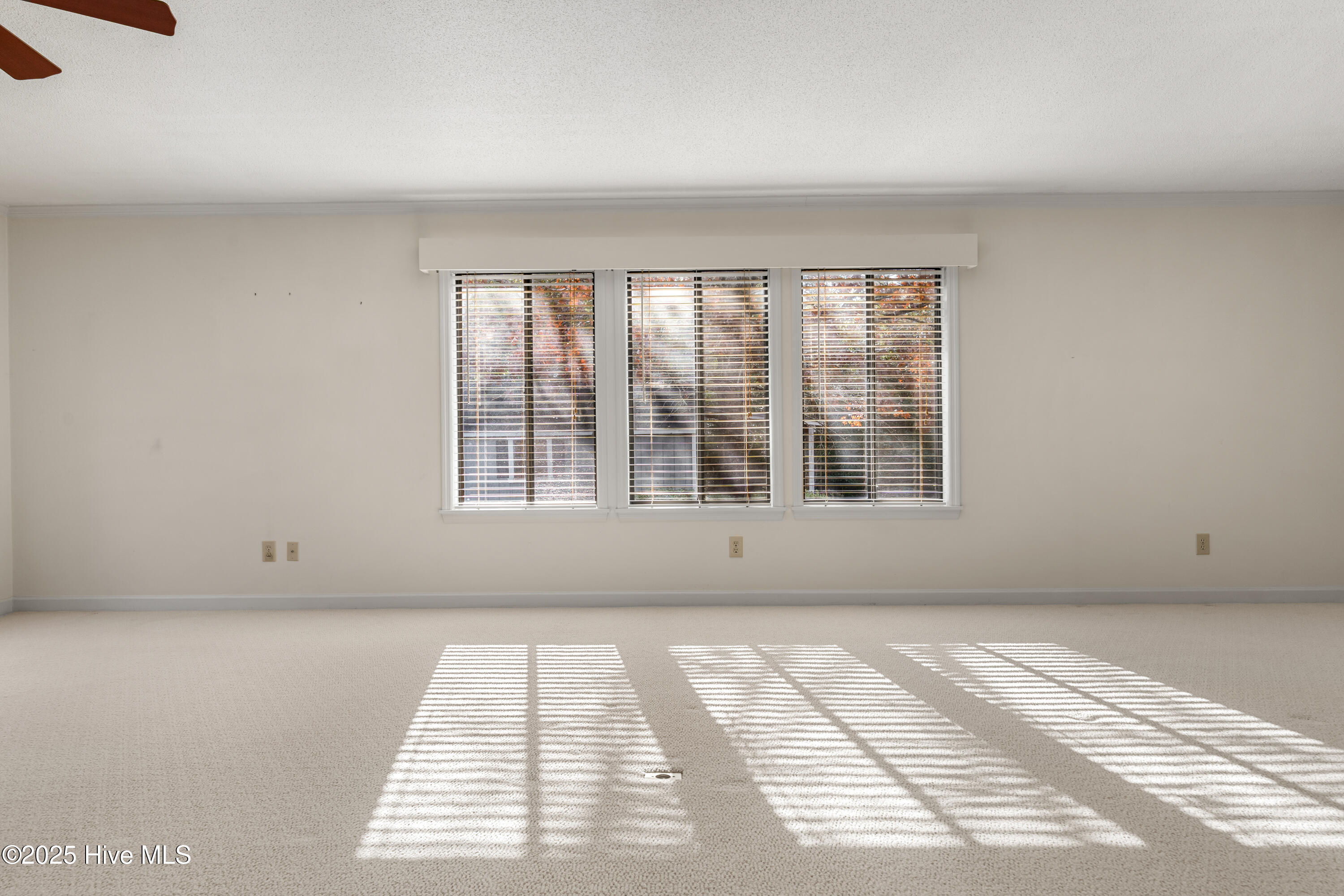 310 Gregory Road Wilmington, NC 28405 - Photo 14 of 79 310GregoryRd-135