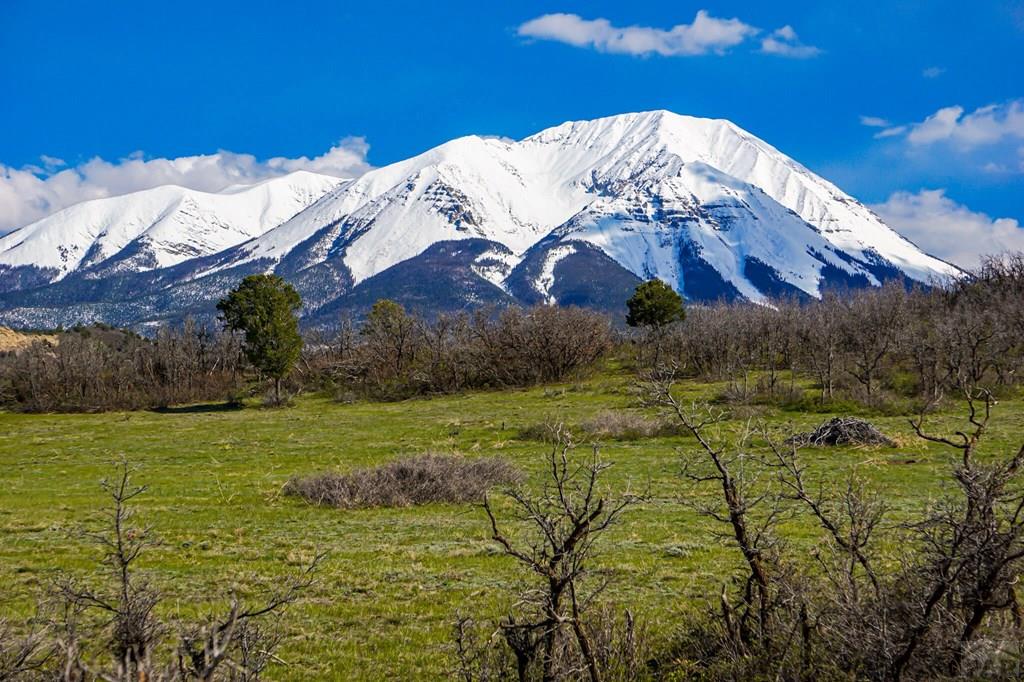 Tbd Tbd Rilling Canyon Road La Veta, CO 81055 - Photo 31 of 33