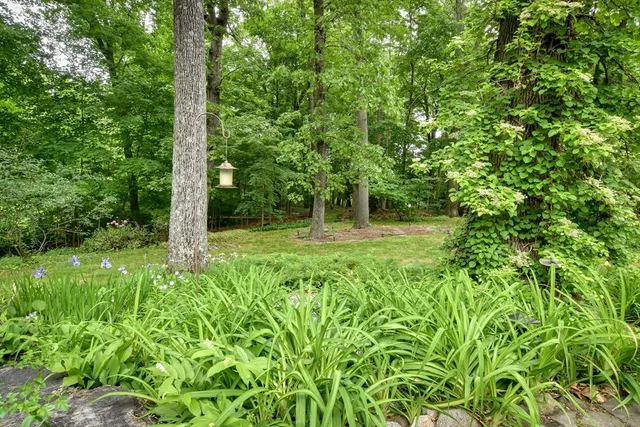 a big yard with lots of green space and plants