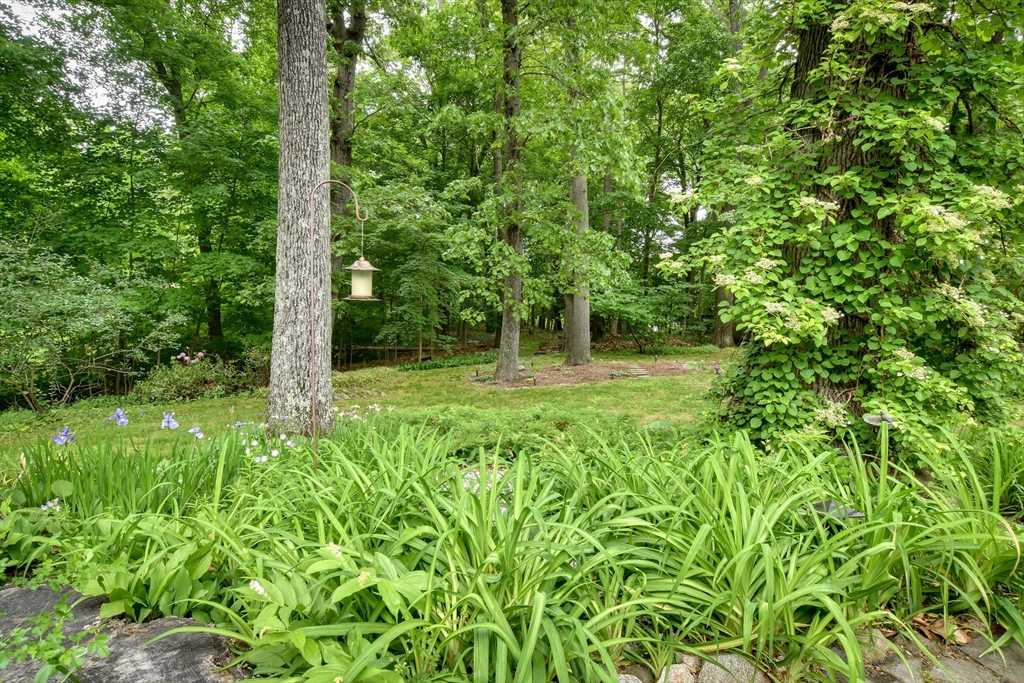 76 Pleasant Street South Natick, MA 01760 - Photo 34 of 36 a big yard with lots of green space and plants
