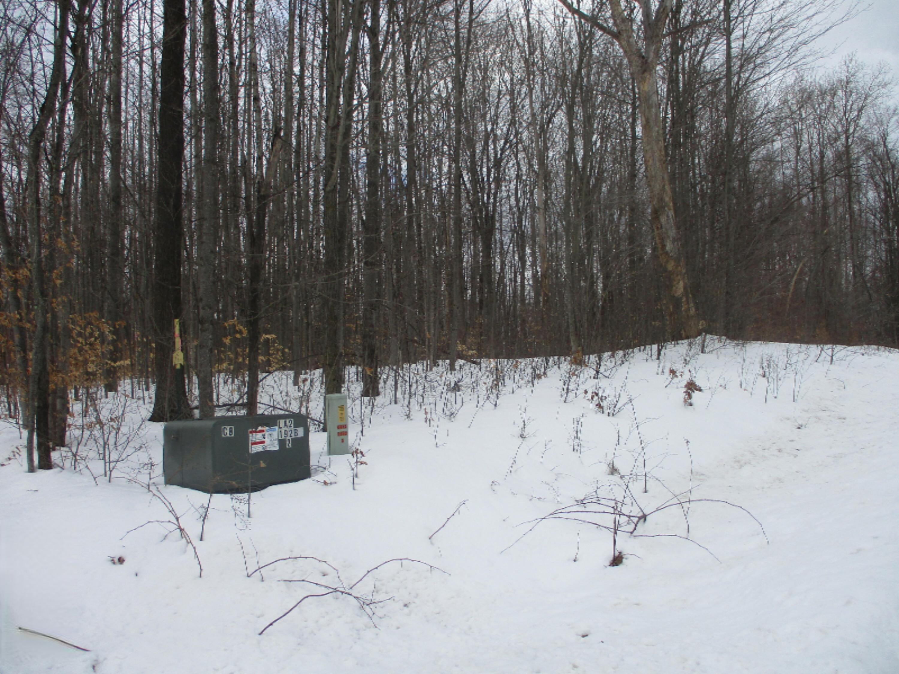 Acorn Ridge Trail, Unit 2 Beulah, MI 49617 - Photo 2 of 8 underground electric