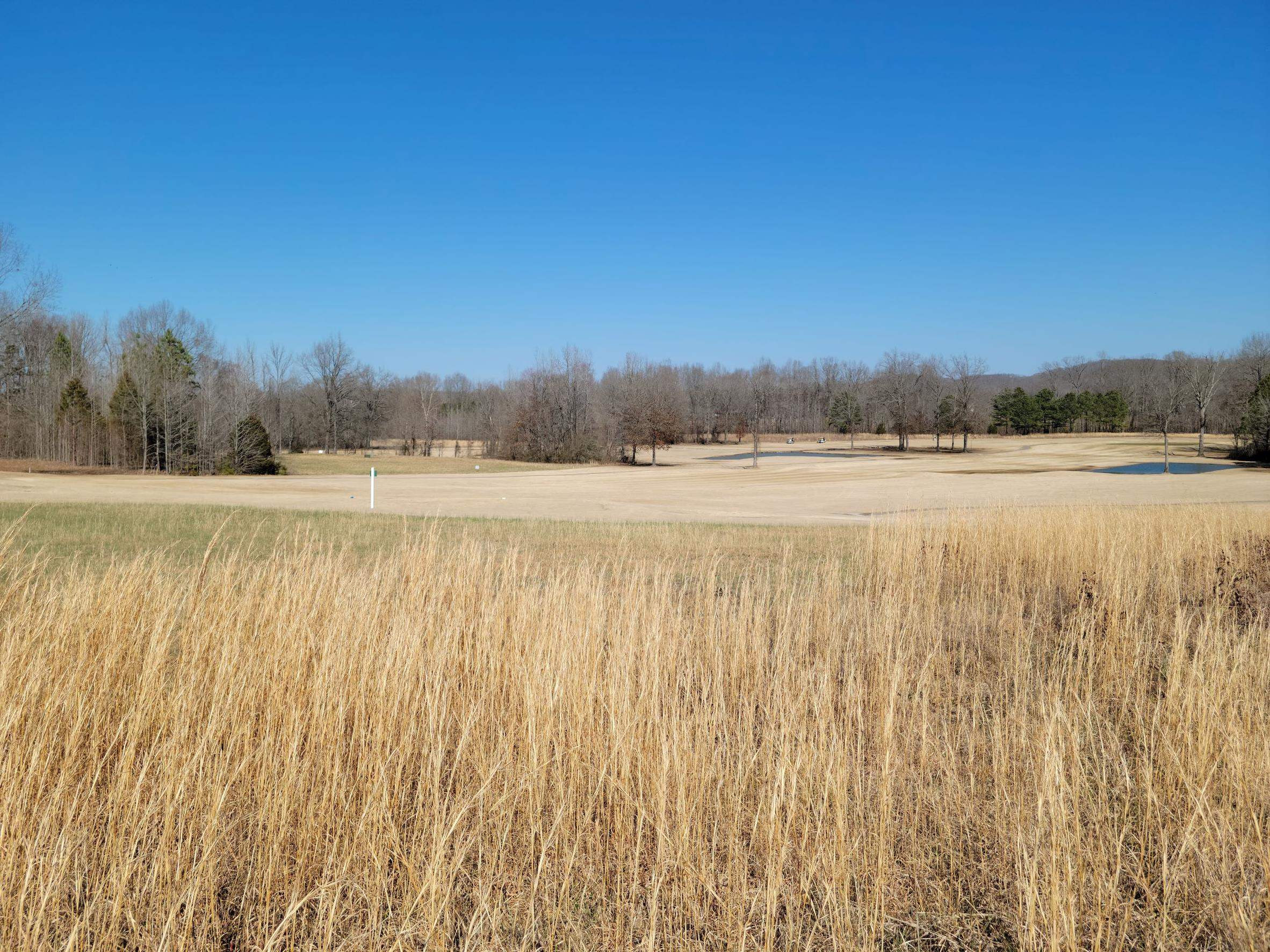 Lot 7 Golfview Decaturville, TN 38329 - Photo 1 of 6 Photo 1