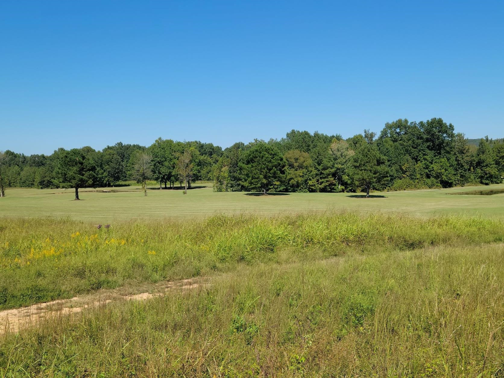 Lot 7 Golfview Decaturville, TN 38329 - Photo 2 of 6 Photo 2