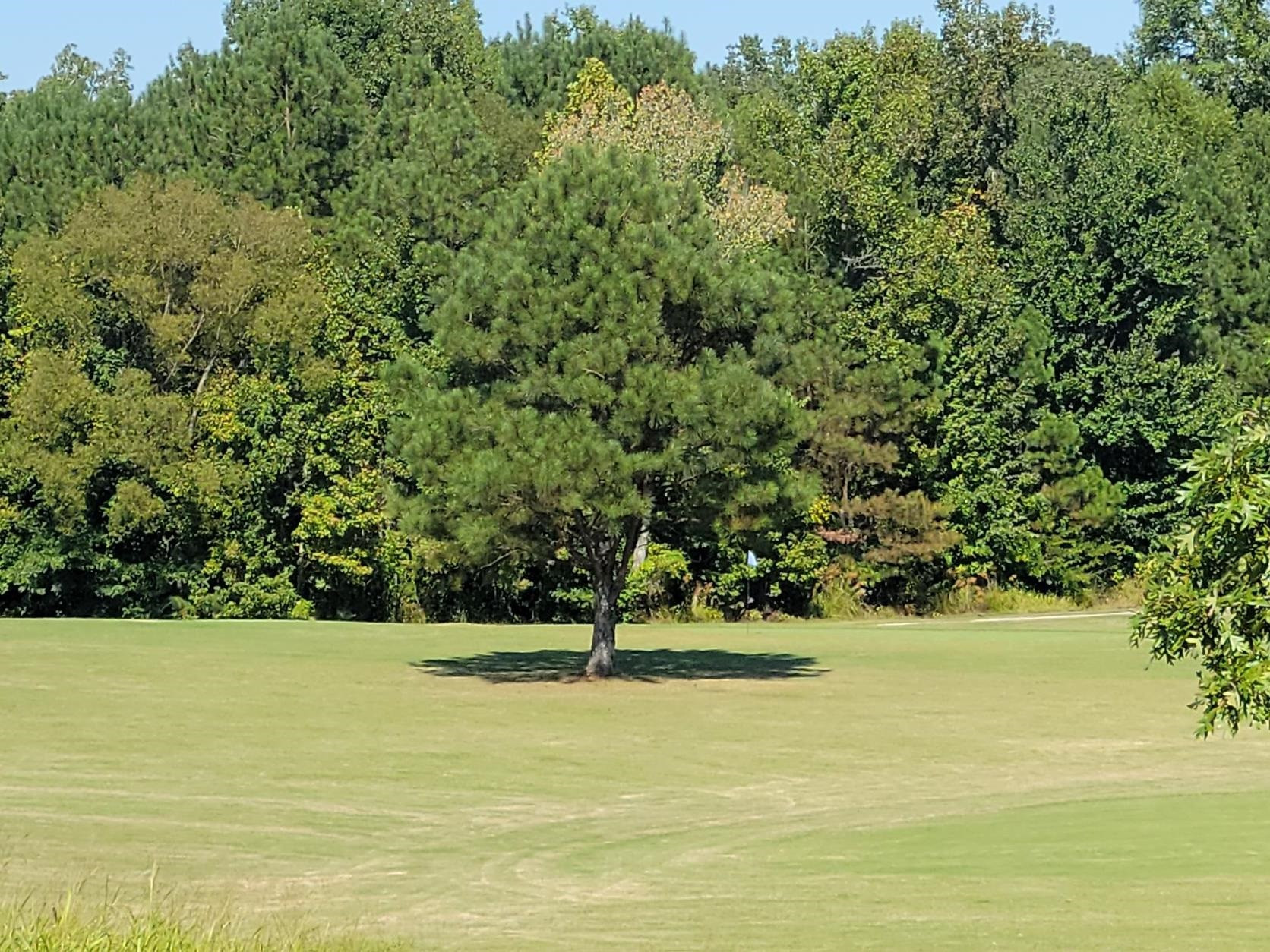 Lot 7 Golfview Decaturville, TN 38329 - Photo 3 of 6 Photo 3