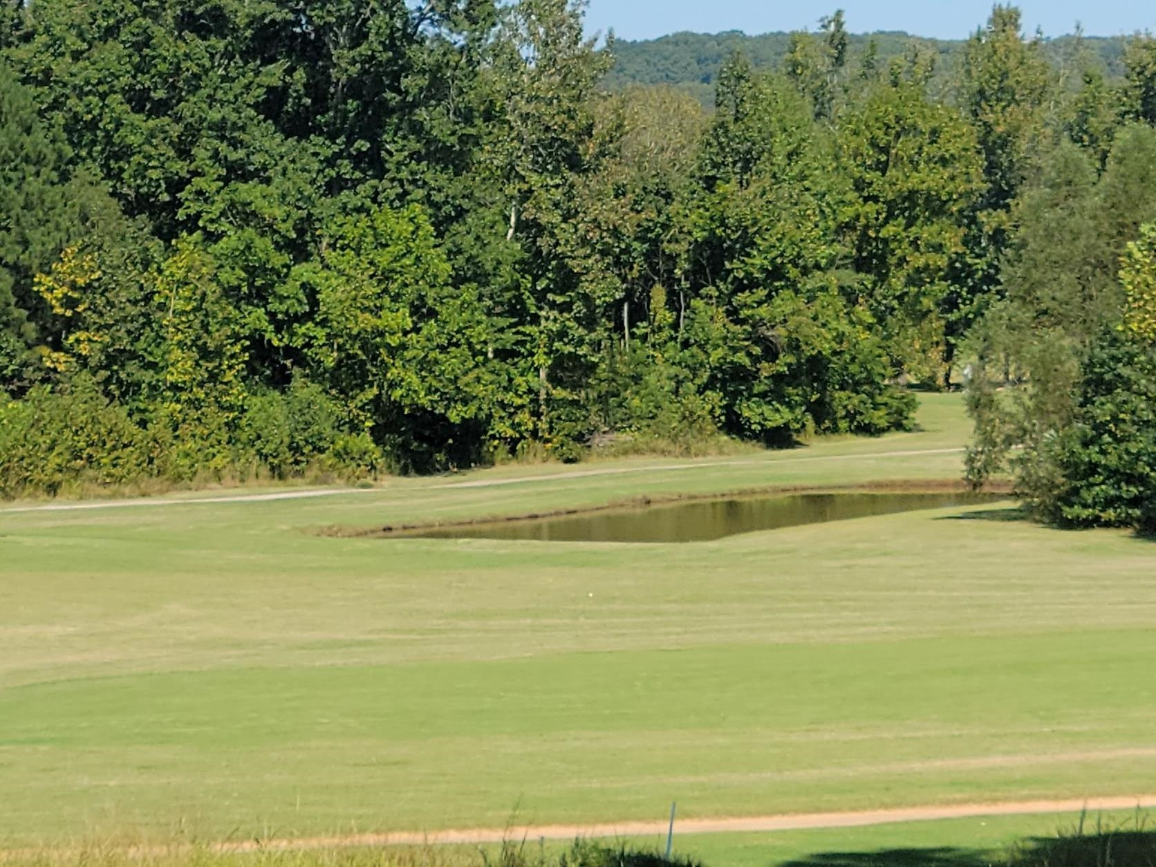 Lot 7 Golfview Decaturville, TN 38329 - Photo 4 of 6 Photo 4