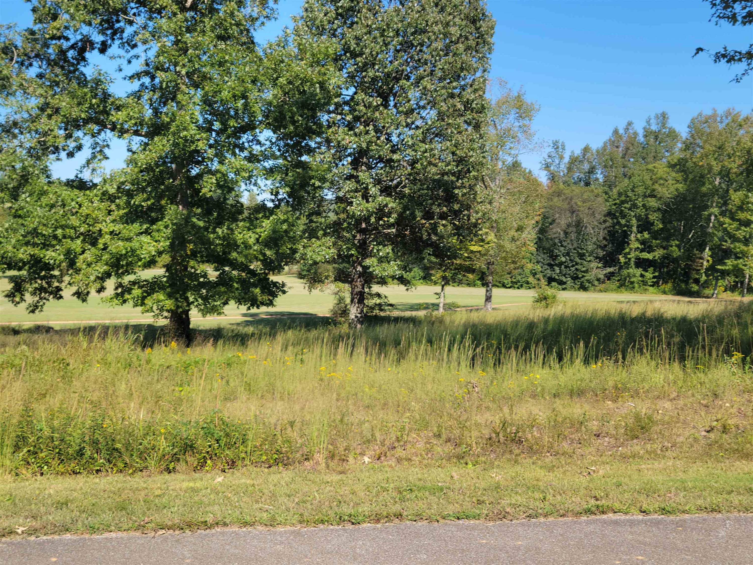 Lot 7 Golfview Decaturville, TN 38329 - Photo 6 of 6 Photo 6