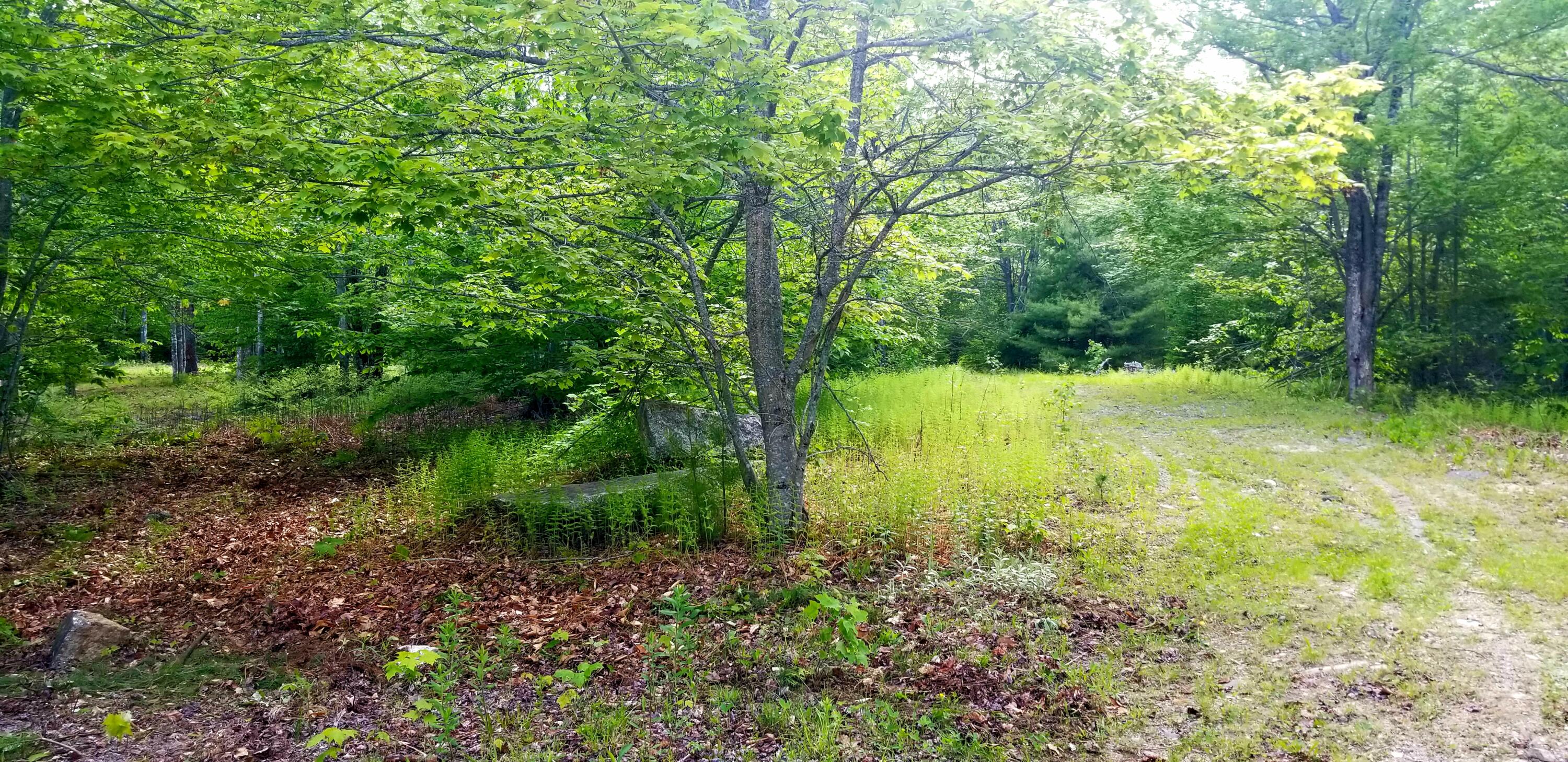 M112-l007 Bangor Road Ellsworth, ME 04605 - Photo 7 of 26 20210601_210321