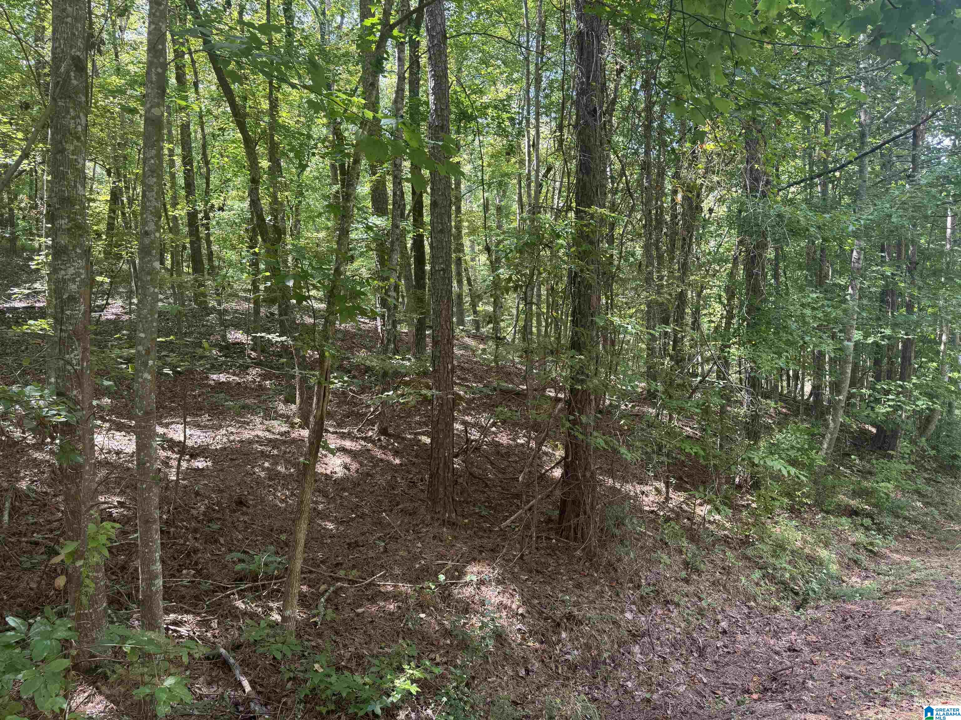 85 Mohawk Court, Unit 22 Ohatchee, AL 36271 - Photo 27 of 37