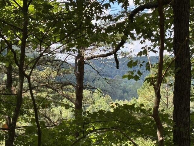 0 Us-35 Ray, OH 45672 - Photo 1 of 15 Mountain Views!