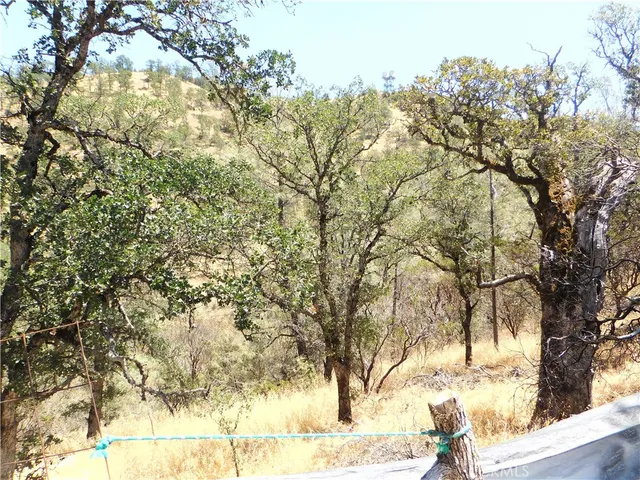 a view of a yard with a tree
