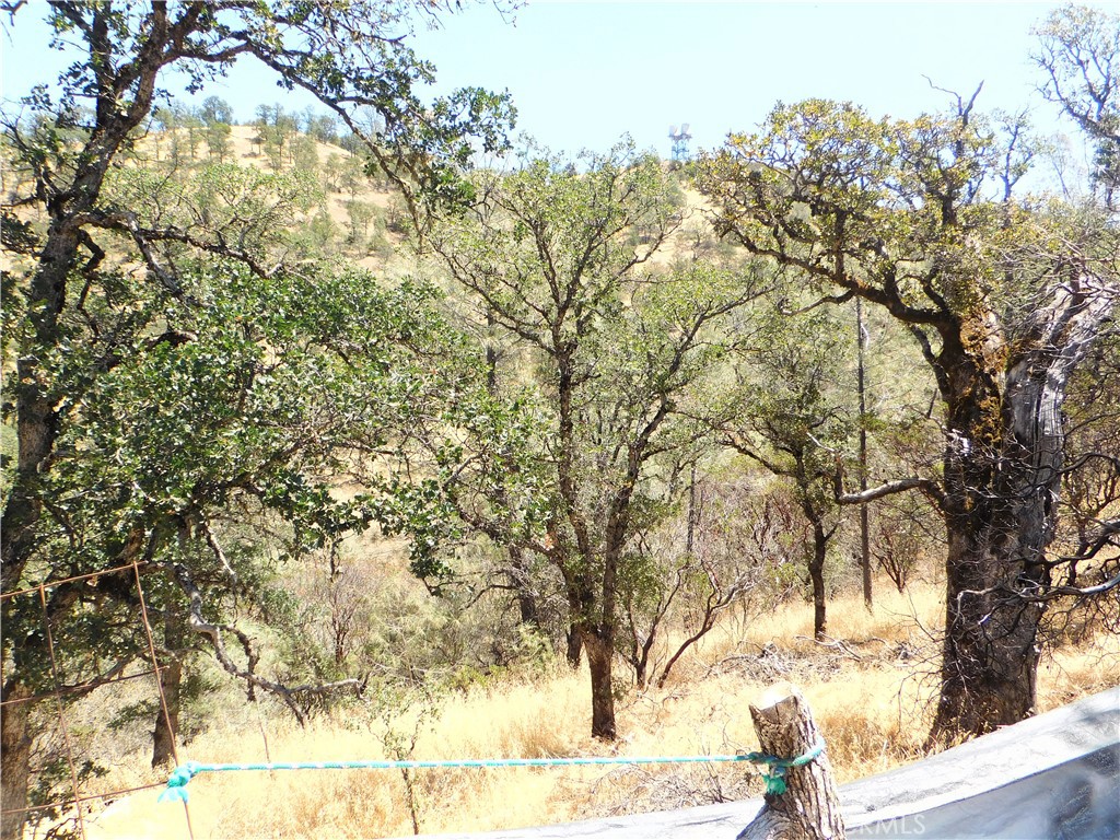 997 Watertrough Road Clearlake Oaks, CA 95423 - Photo 11 of 20 a view of a yard with a tree