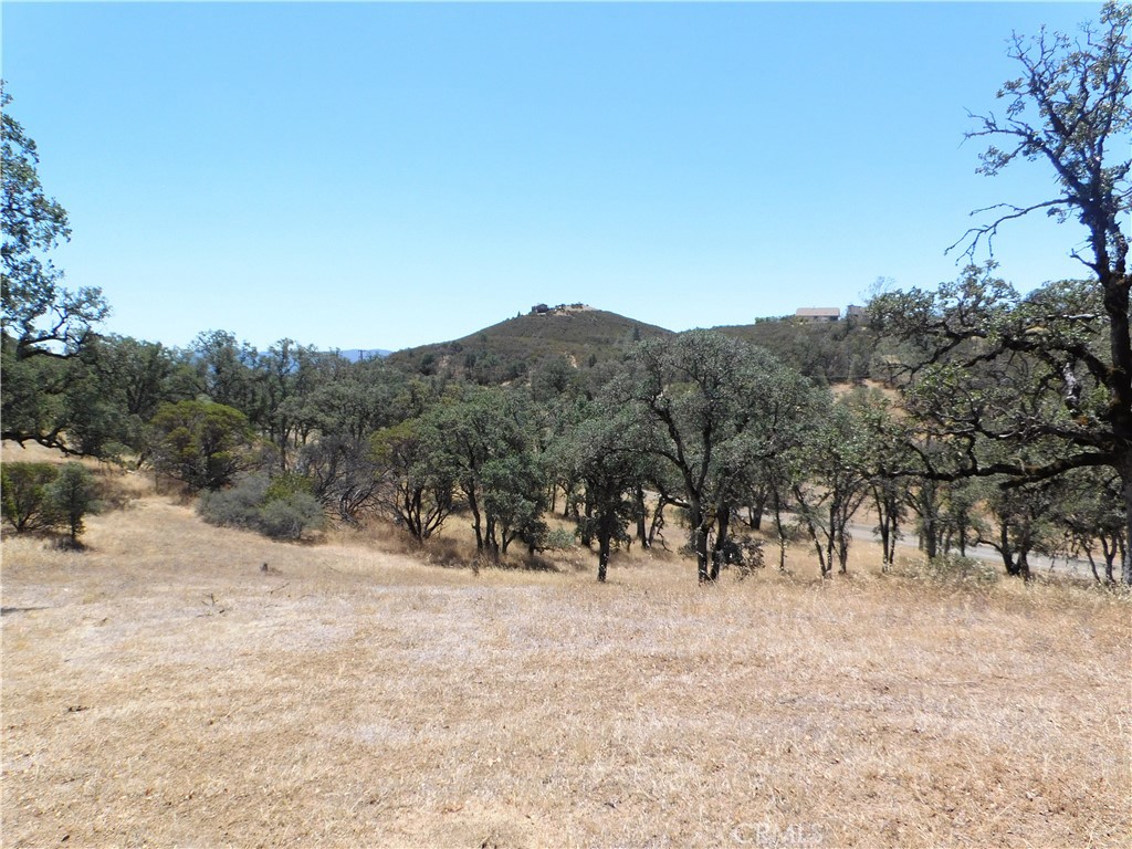 997 Watertrough Road Clearlake Oaks, CA 95423 - Photo 13 of 20 a view of outdoor space with green field and trees