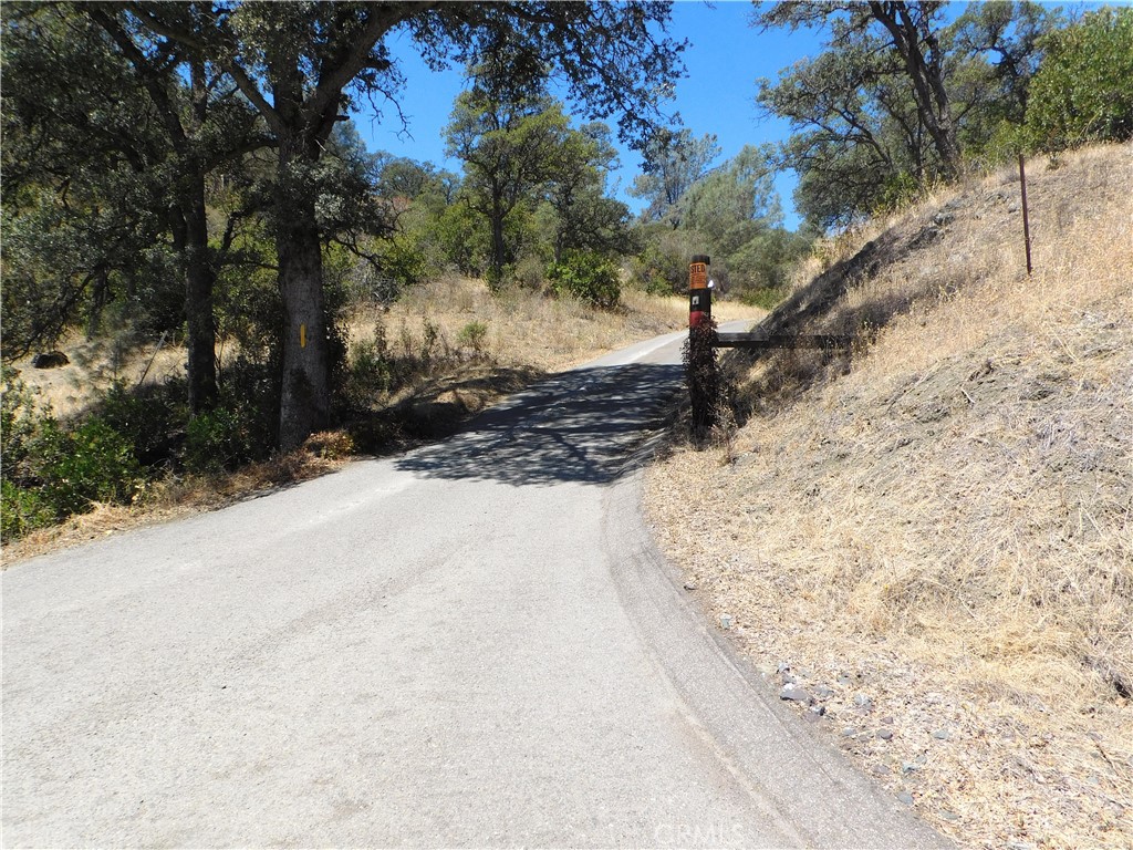 997 Watertrough Road Clearlake Oaks, CA 95423 - Photo 15 of 20 a view of a yard with wooden fence